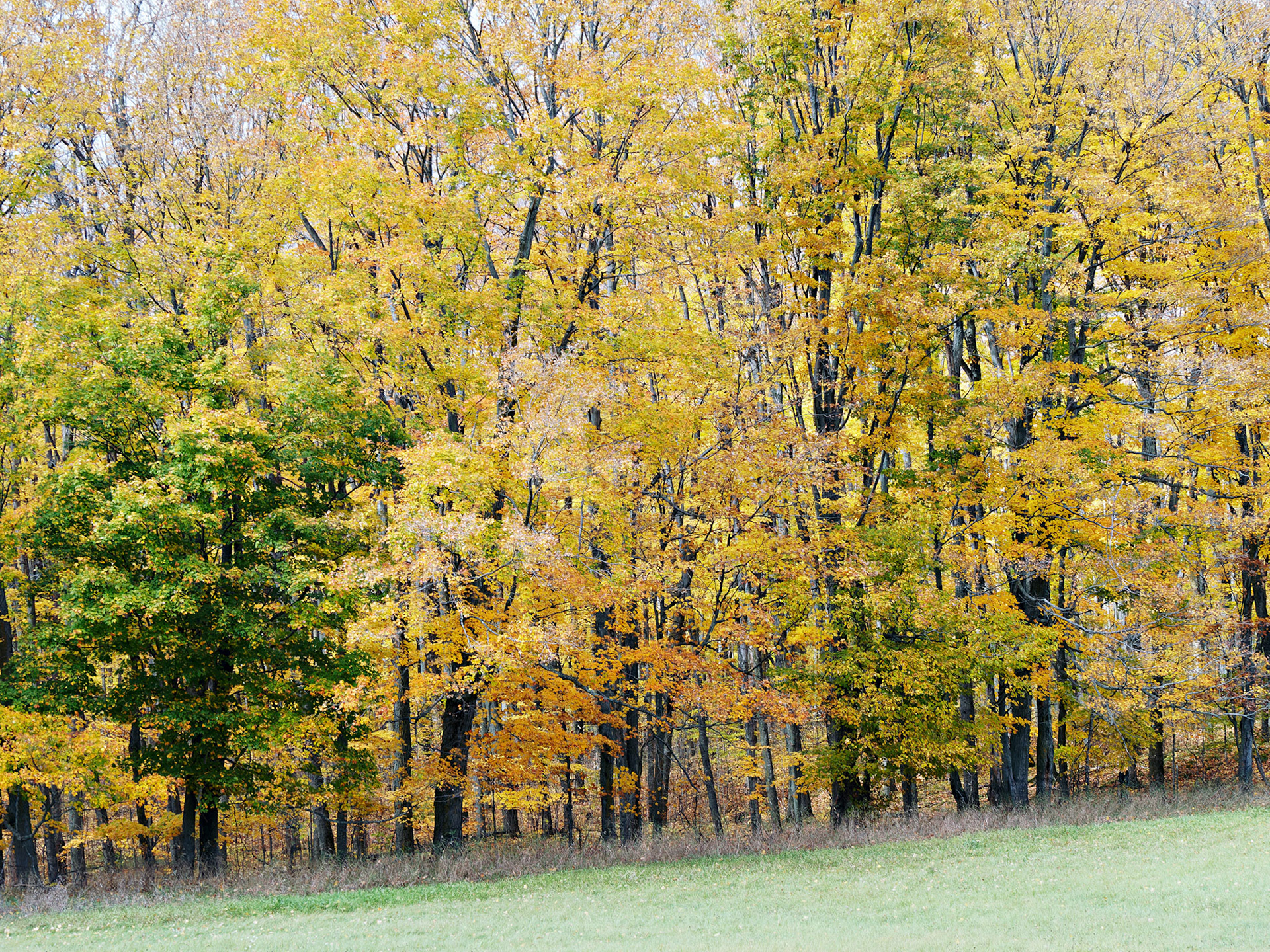 WI_North_20131011_0121_PS