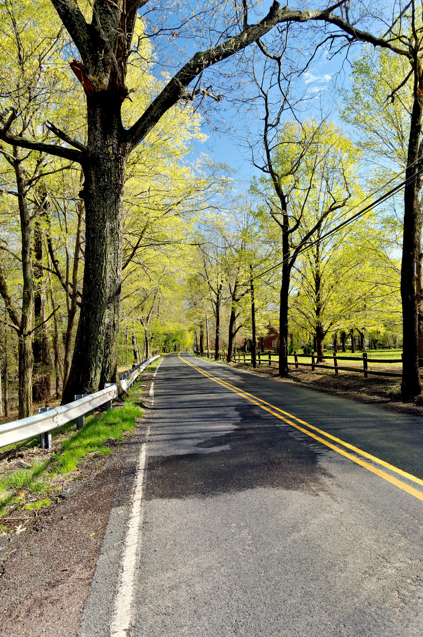 CT_20060423_0190_PS