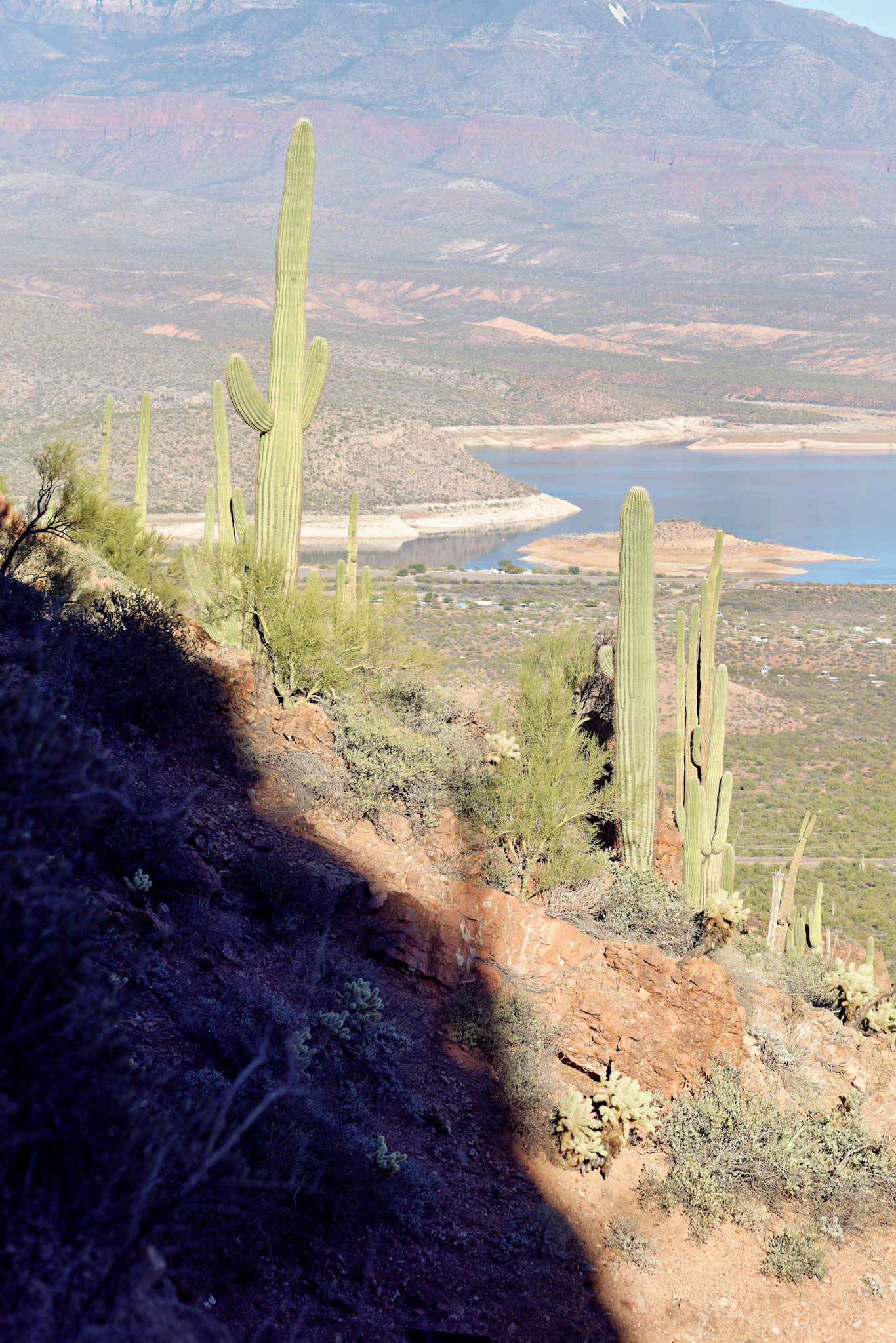 AZ_20121210_0429_PS.dng