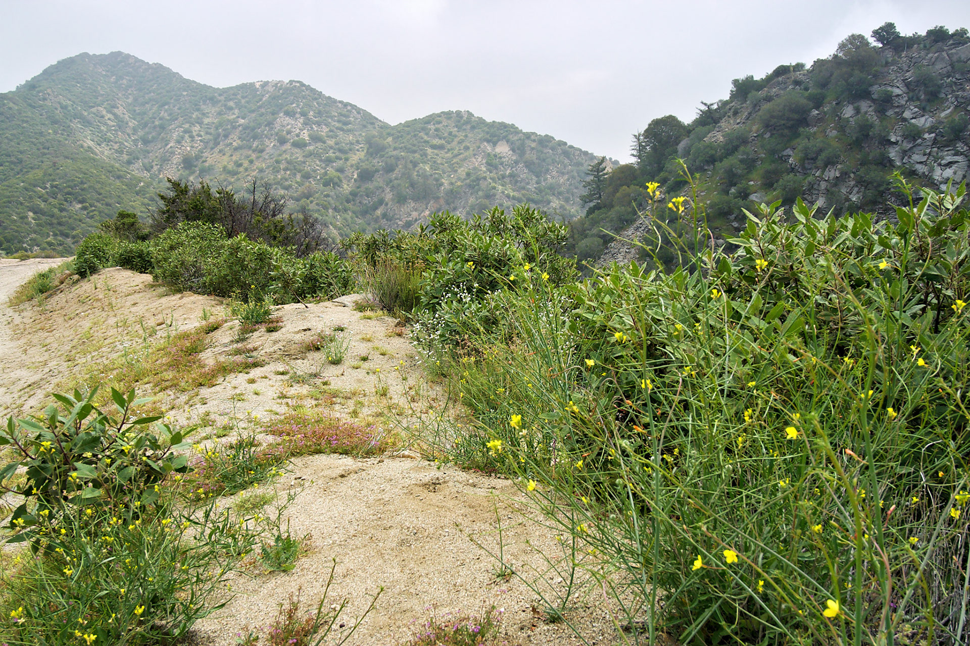 CA_LA_20030514_0039_PS