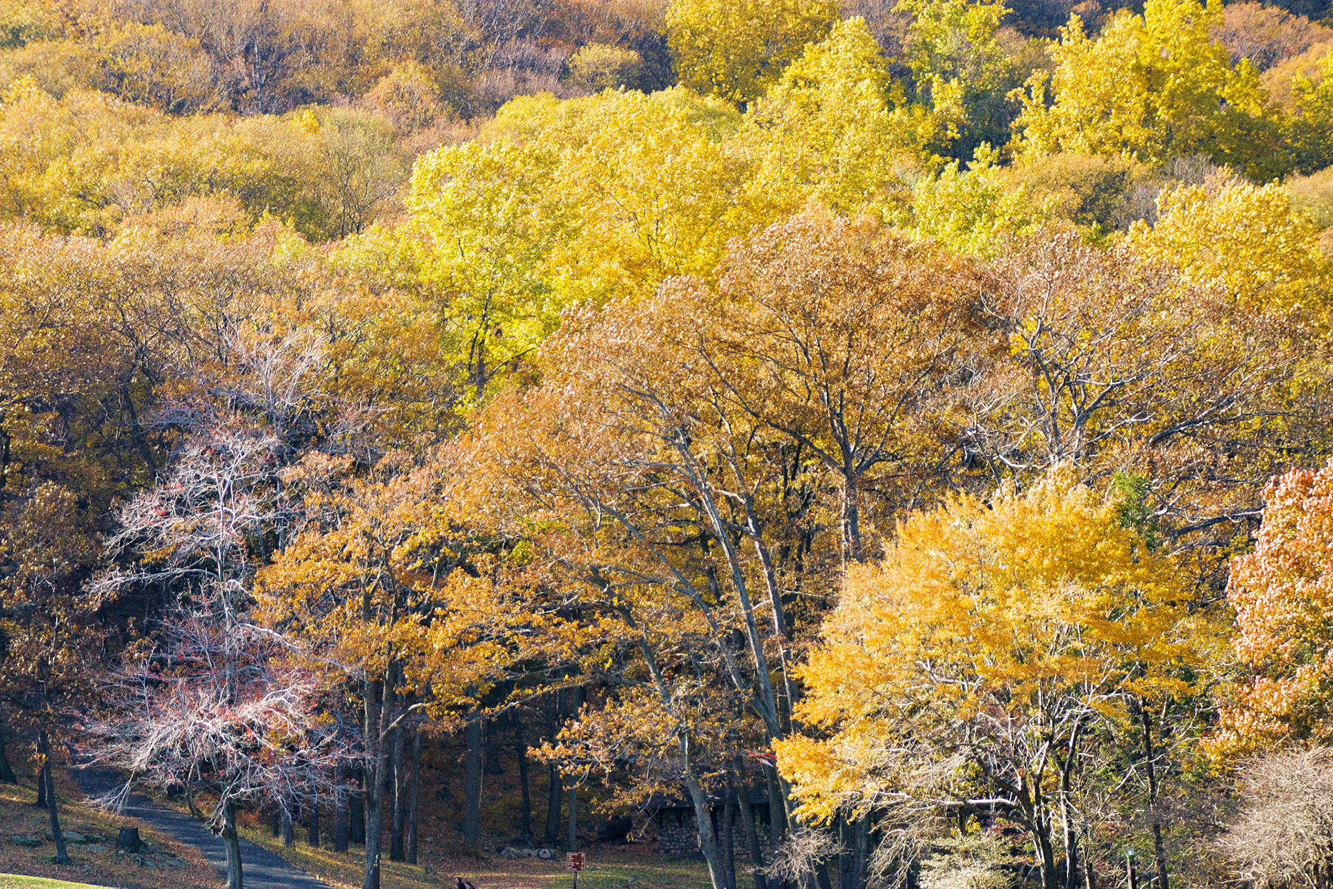 NY_HudsonValley_20021108_0002_PS