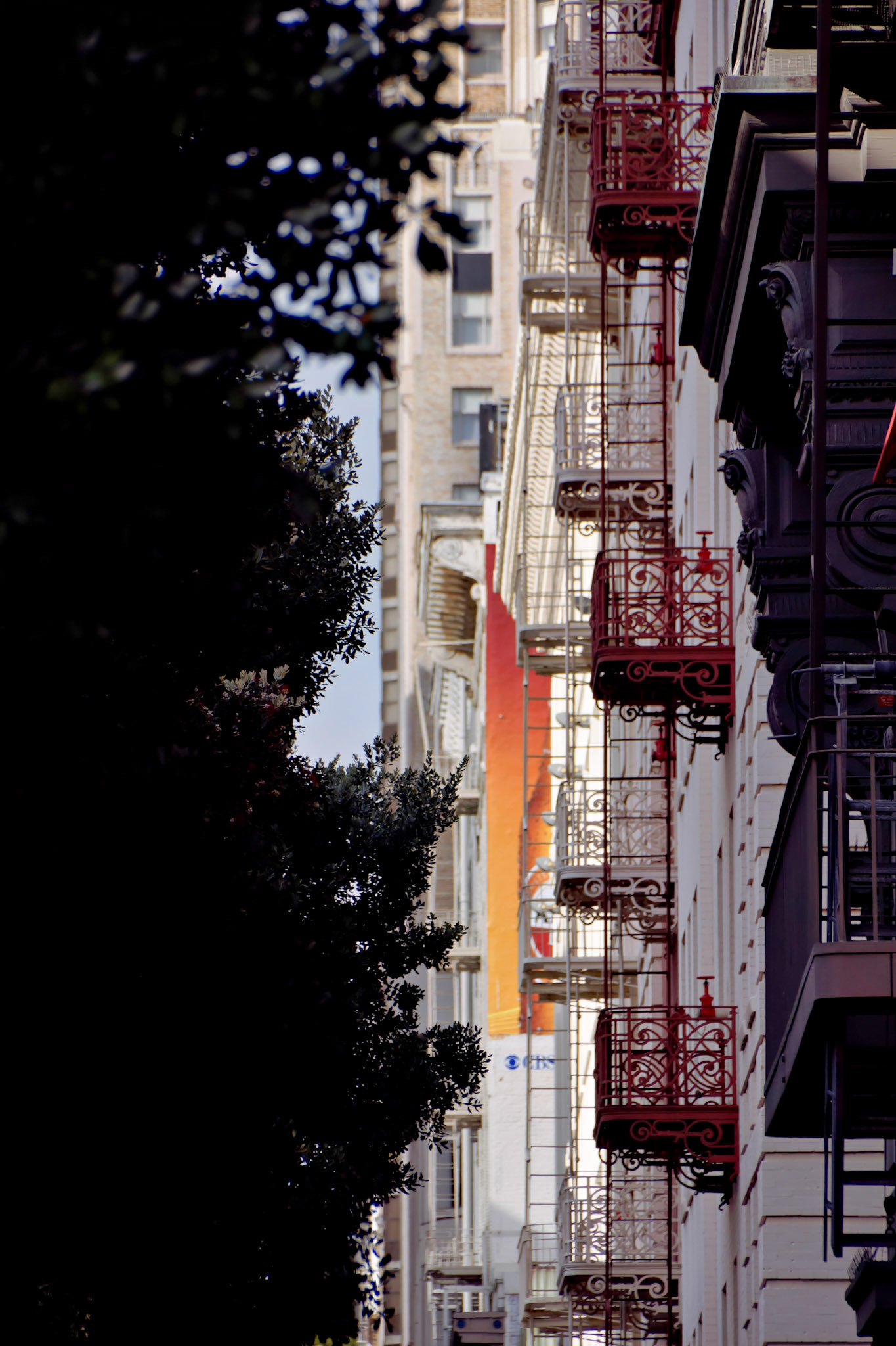 SONY DSC