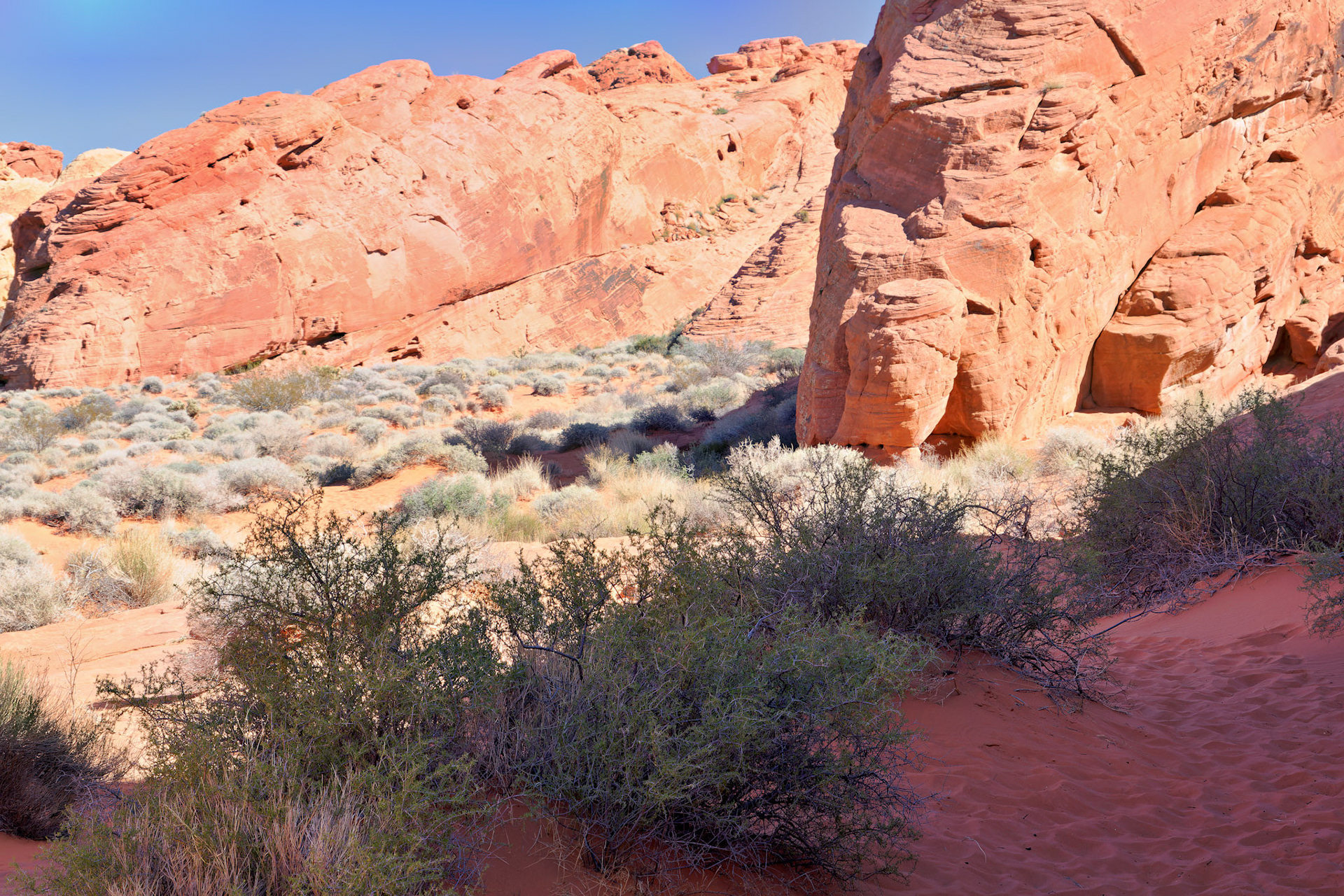 NV_Deserts_20120313_0139_PS.tif
