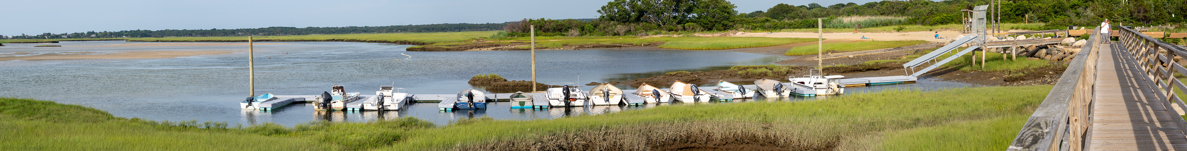 MA_CapeCod_20150717_0229a_PS.dng