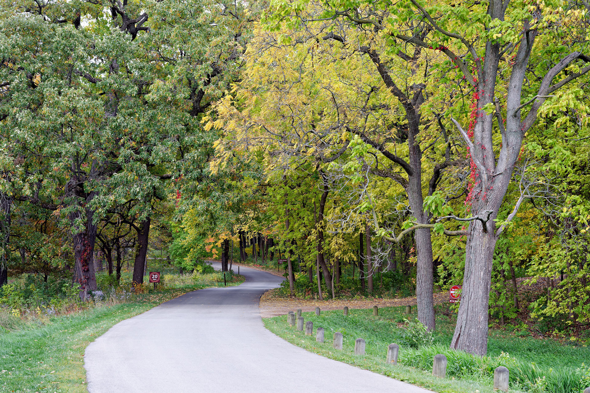 IL_Morton Arboretum_20121005_0523_PS