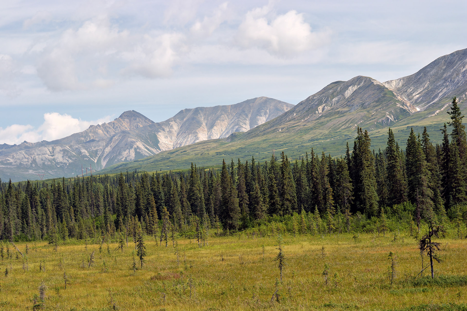 AK_20030807_0811_PS.dng