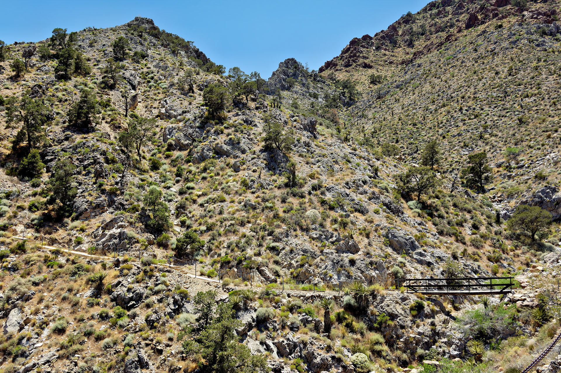 CA_20050614_0085_PS