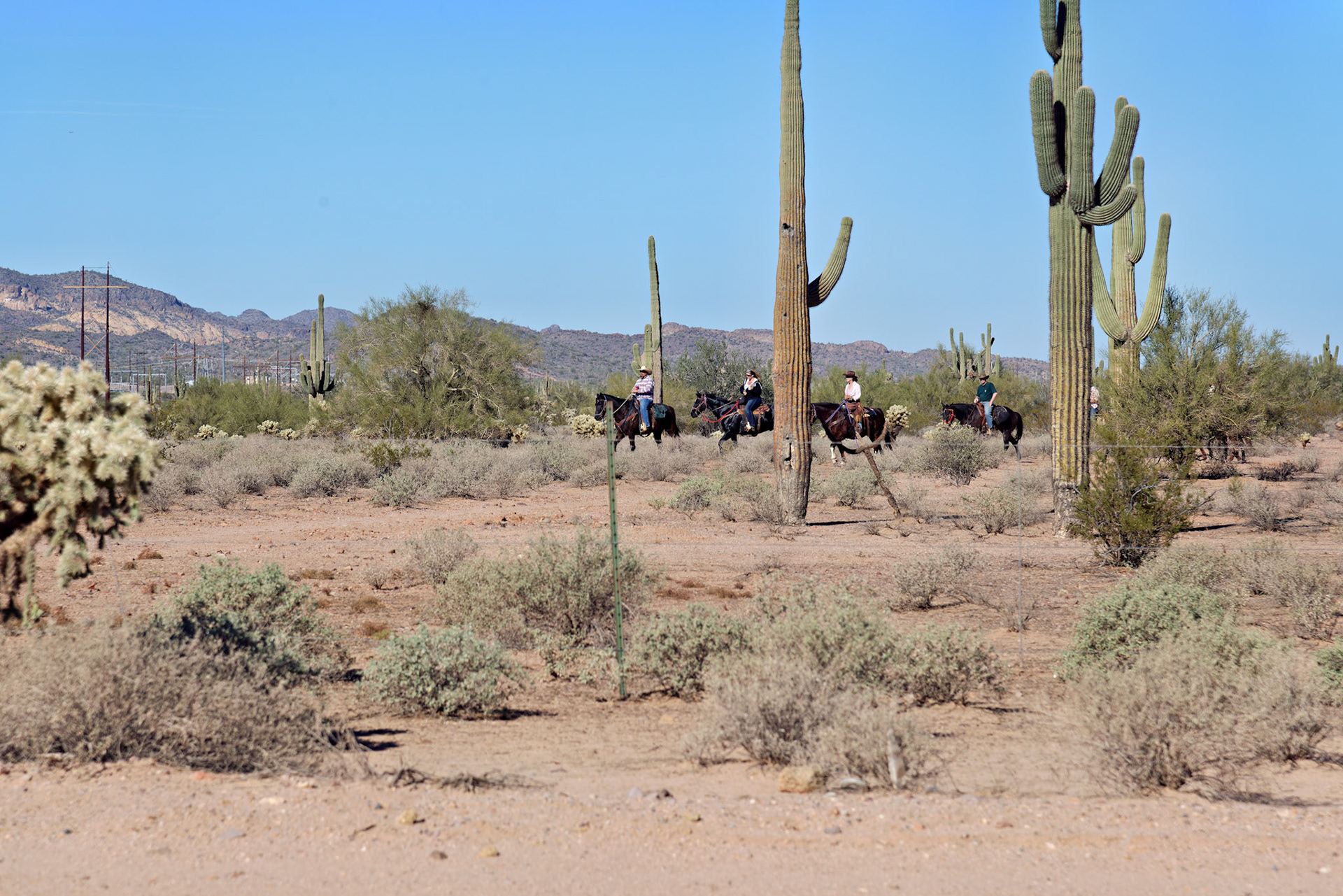 AZ_20121209_0297_PS