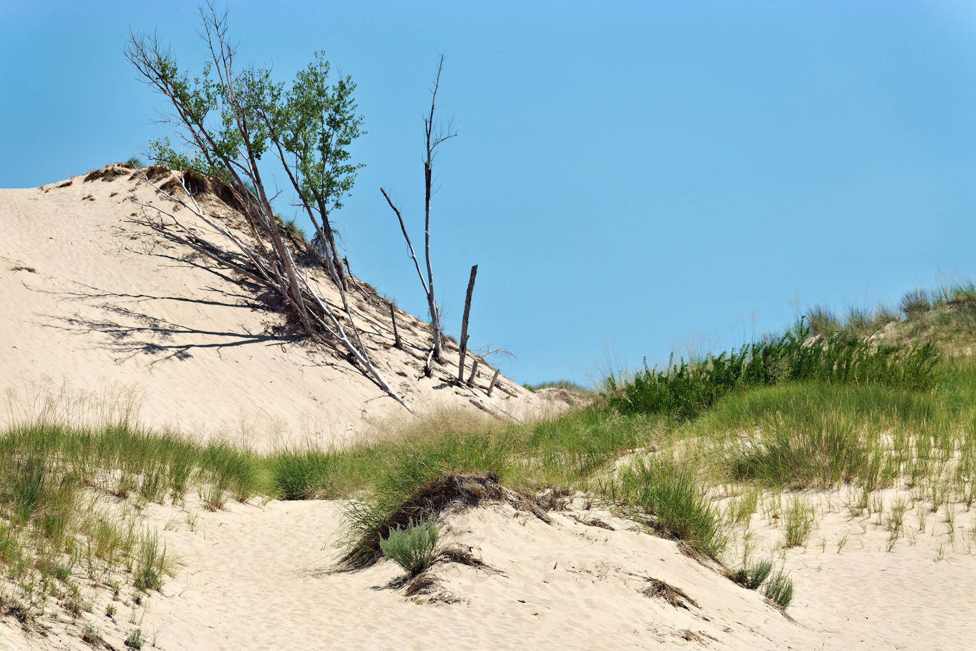 MI_New BuffaloArea_20160808_0130_PS.tif