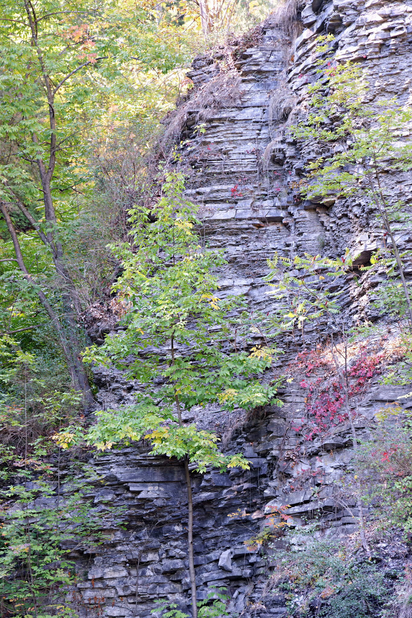 NY_FingerLakes_20120927_0077_PS