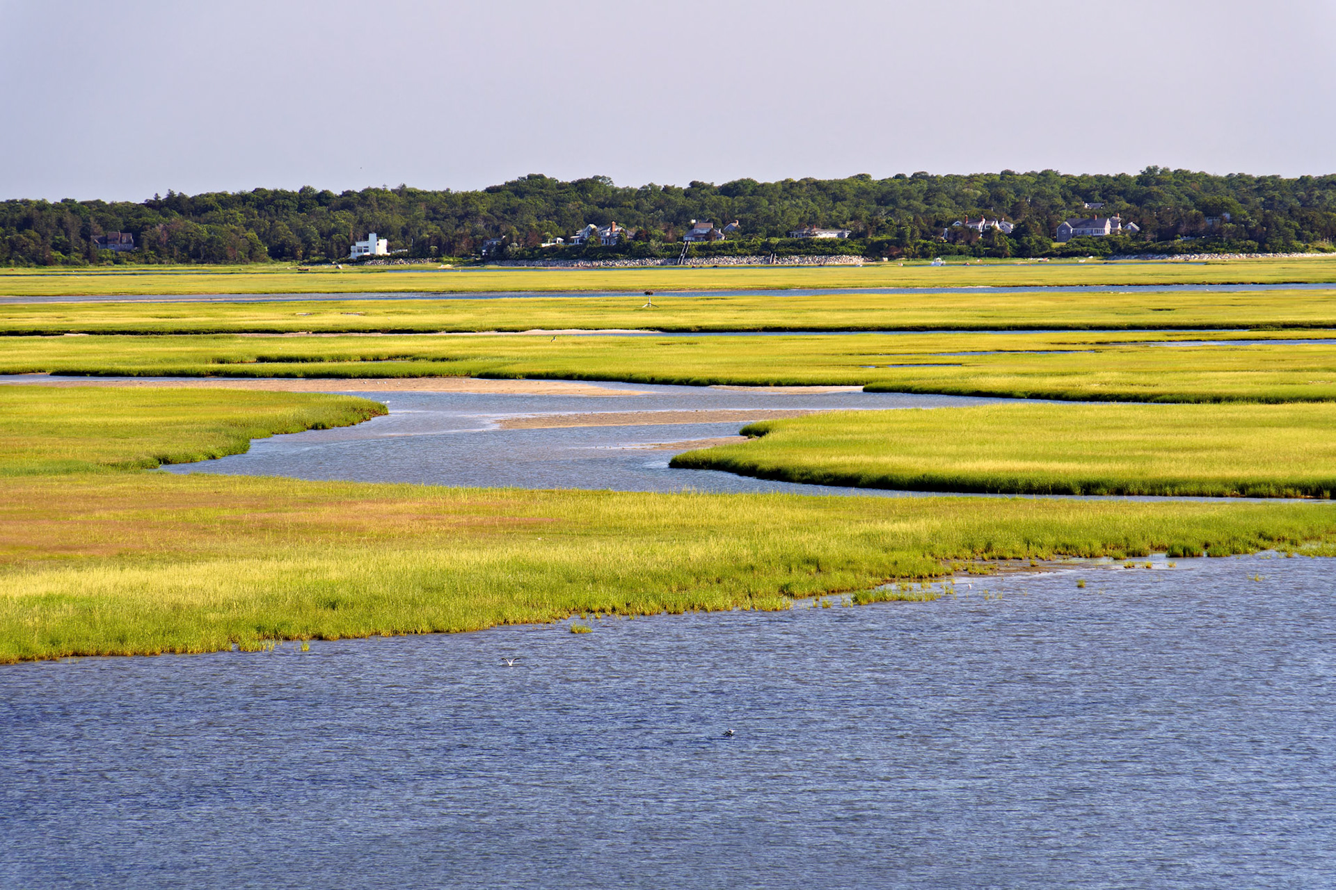 MA_CapeCod_20150716_0036_PS