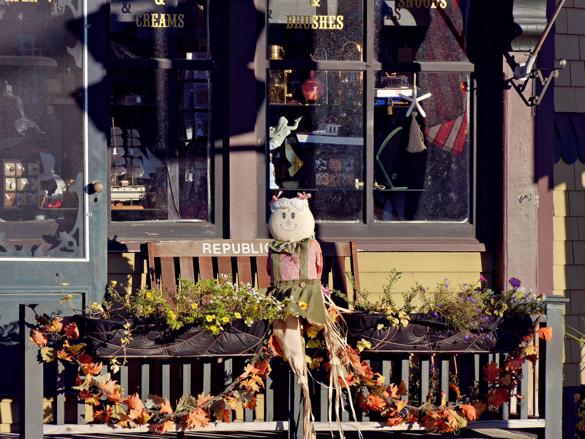 MA_CapeCod_20151030_0352_PS.dng