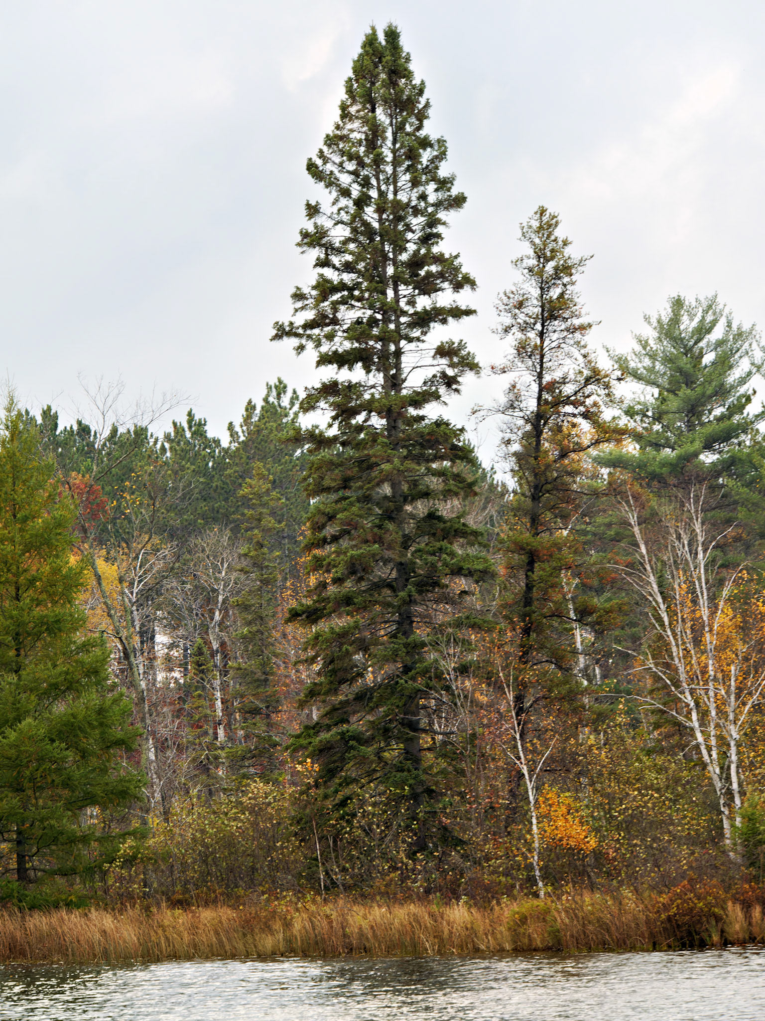 WI_North_20131010_0014_PS
