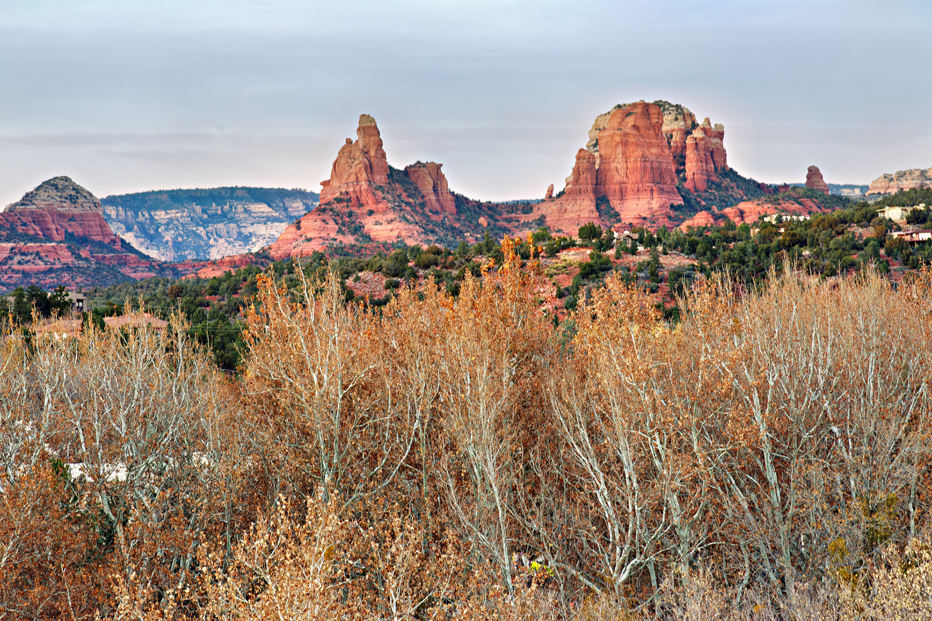 AZ_20121212_0682_PS.dng
