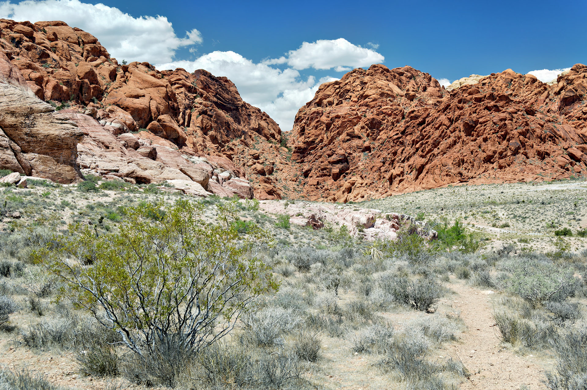 NV_20070531_0097_PS