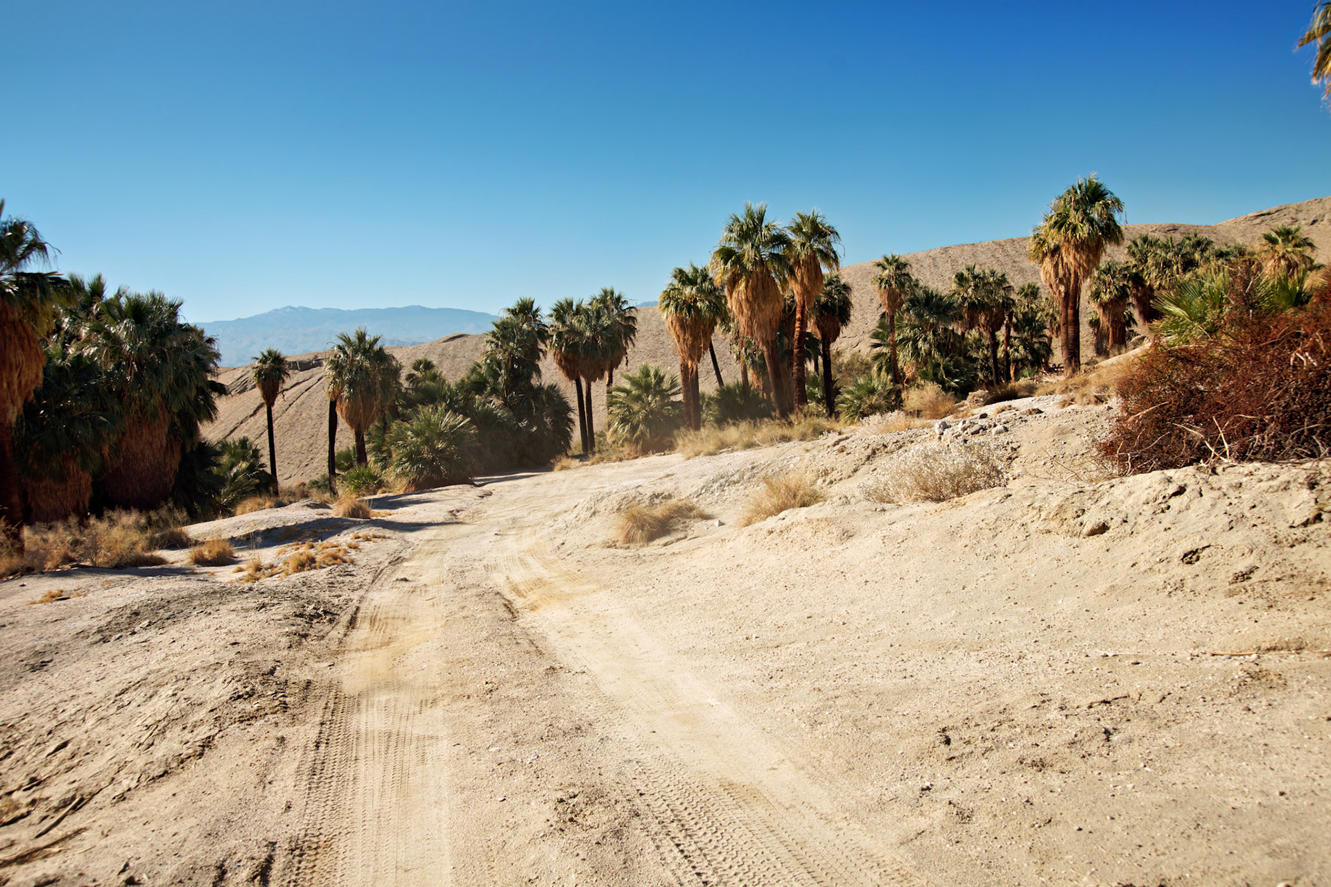 CA_PalmSprings_20111117_0492_PS