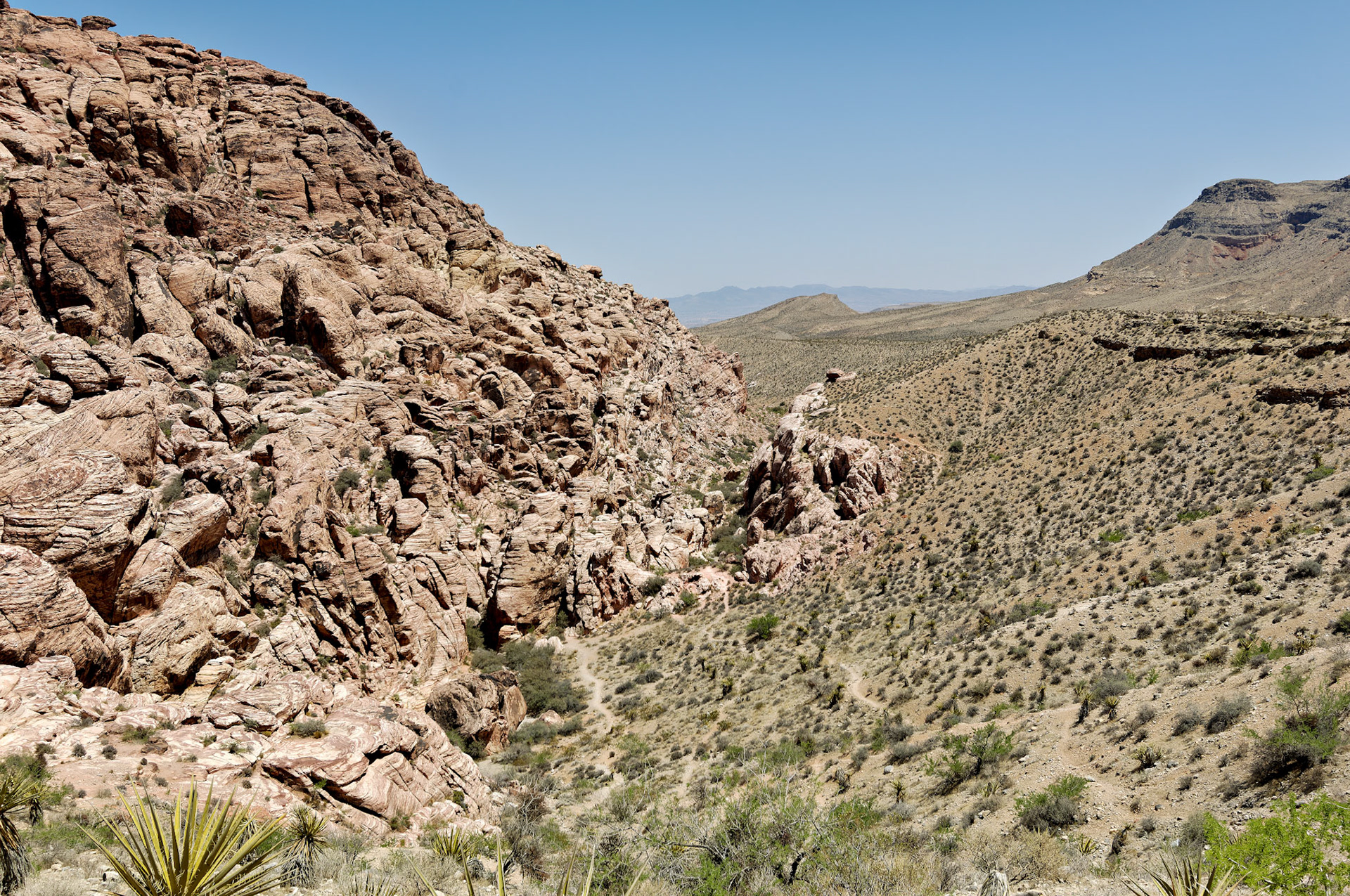 NV_20070531_0131_PS.tif