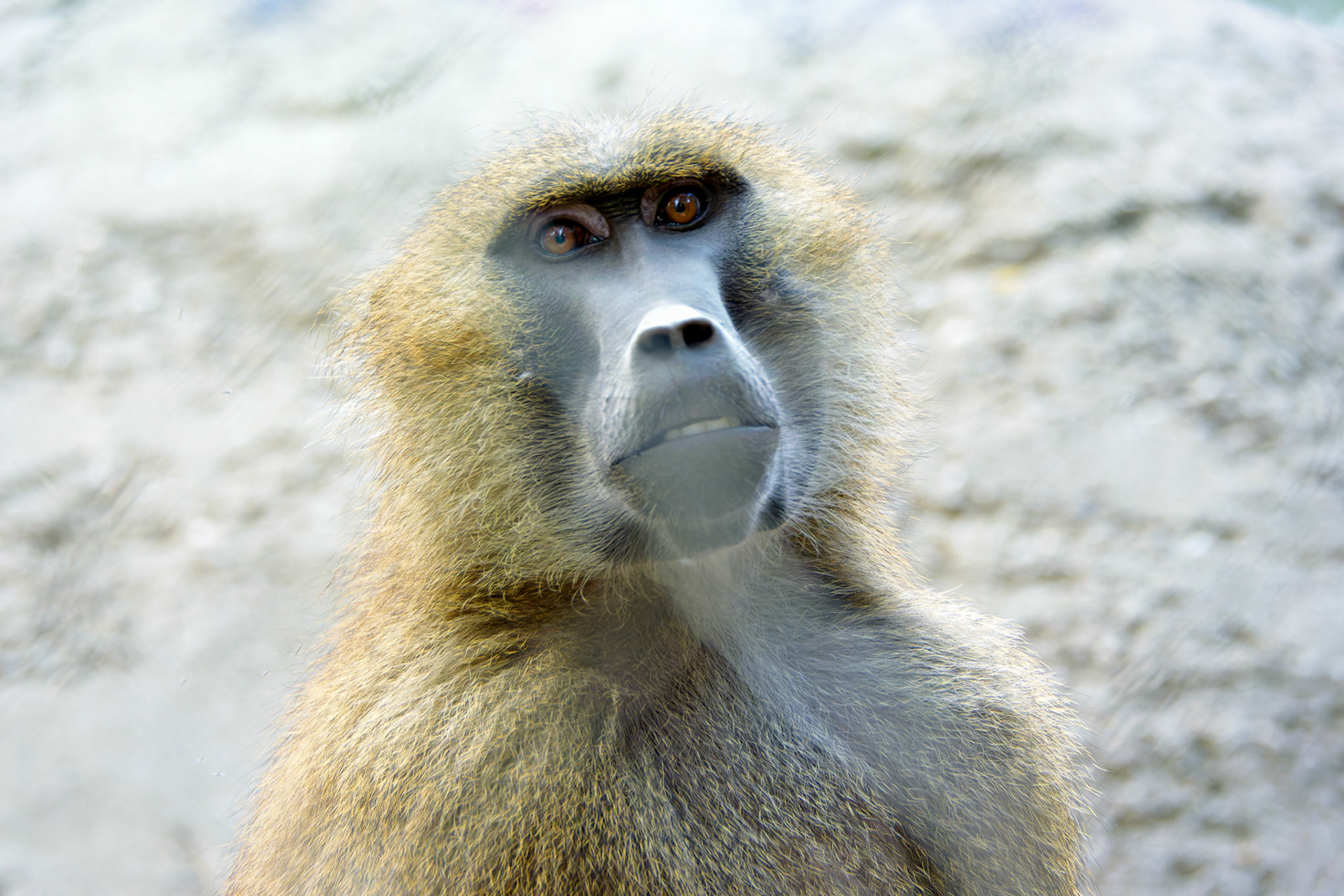 Wildlife_20140718_0508_PS