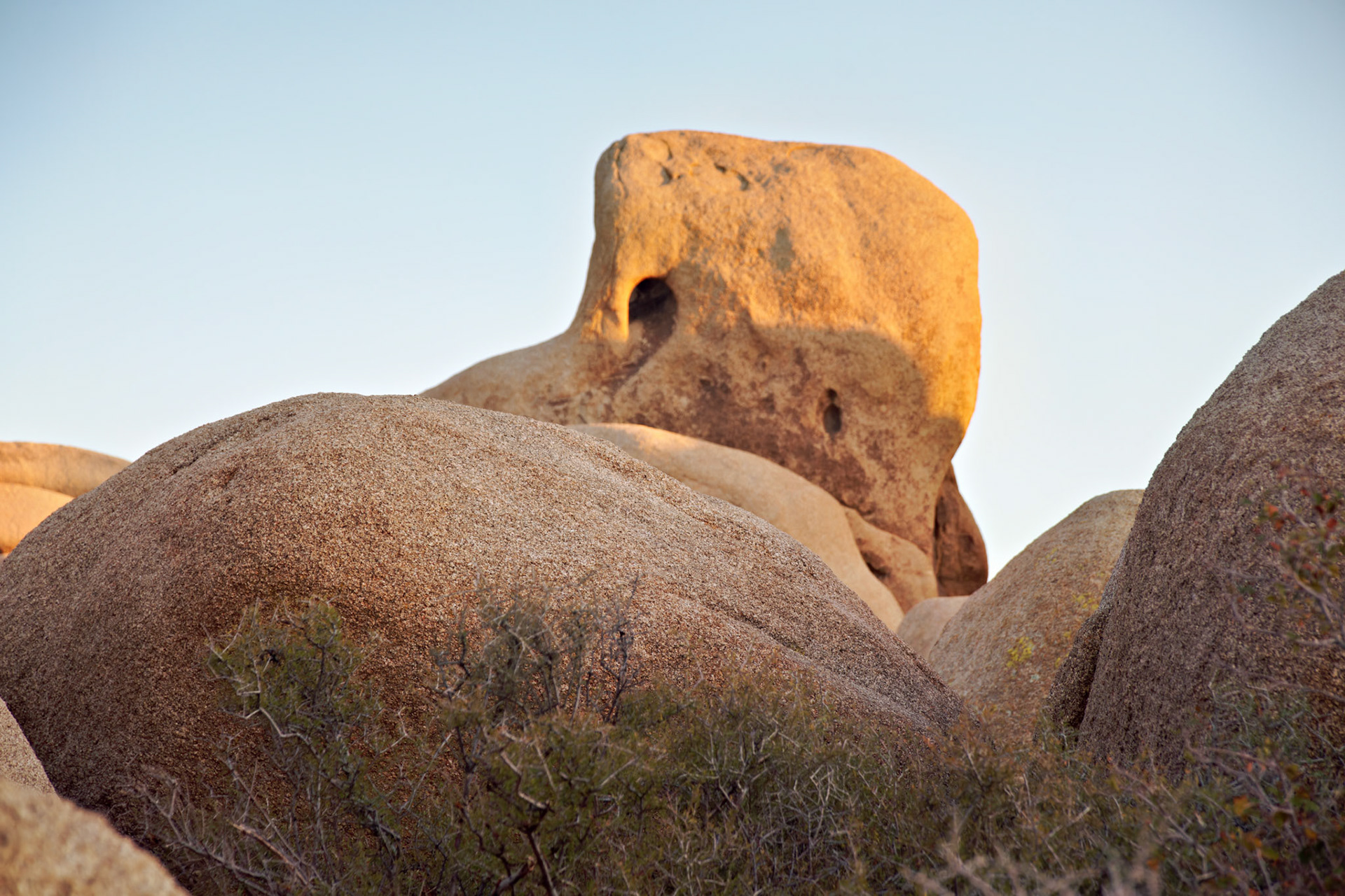 CA_JoshuaTree_20111114_0281_PS