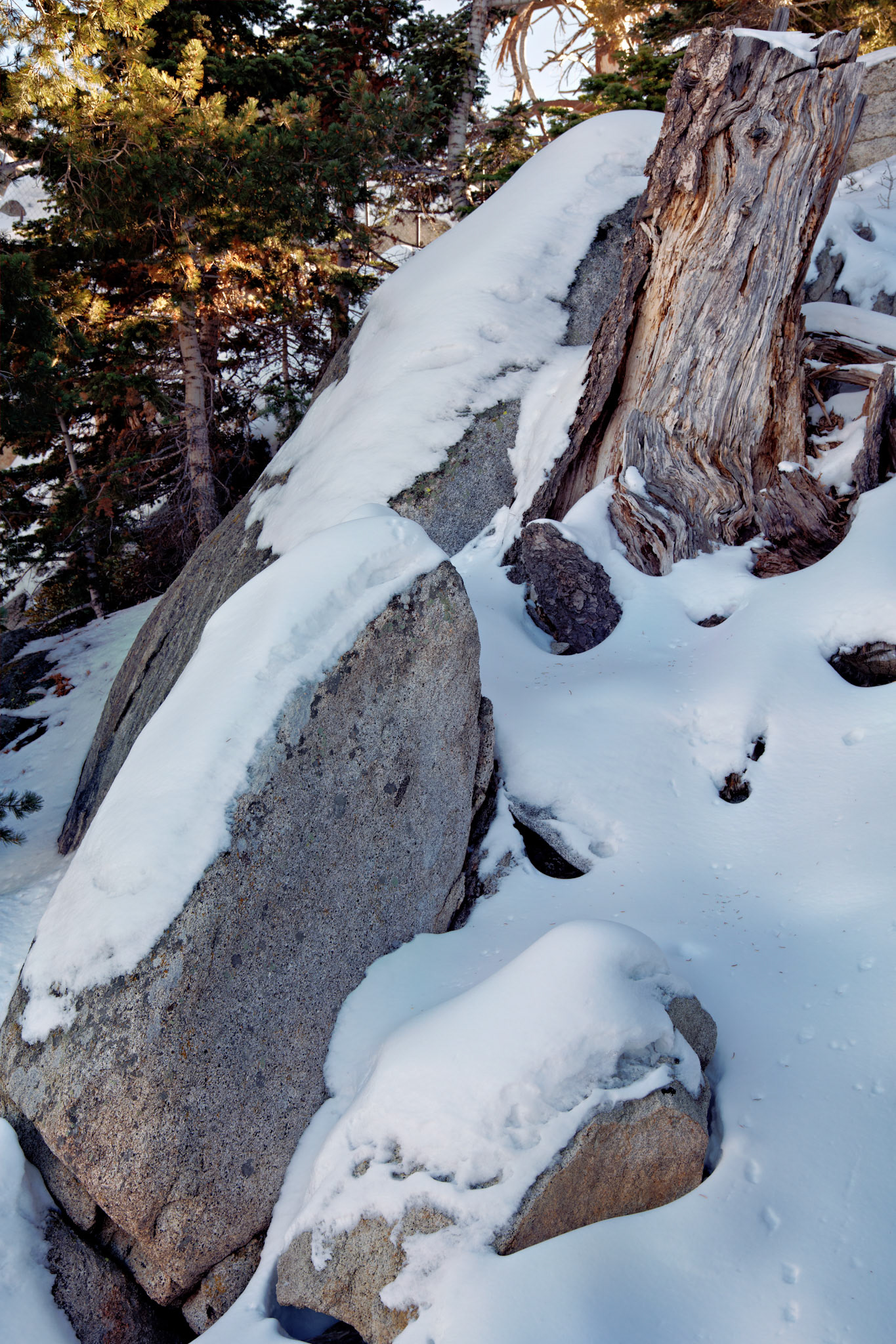 CA_PalmSprings_20111115_0349_PS