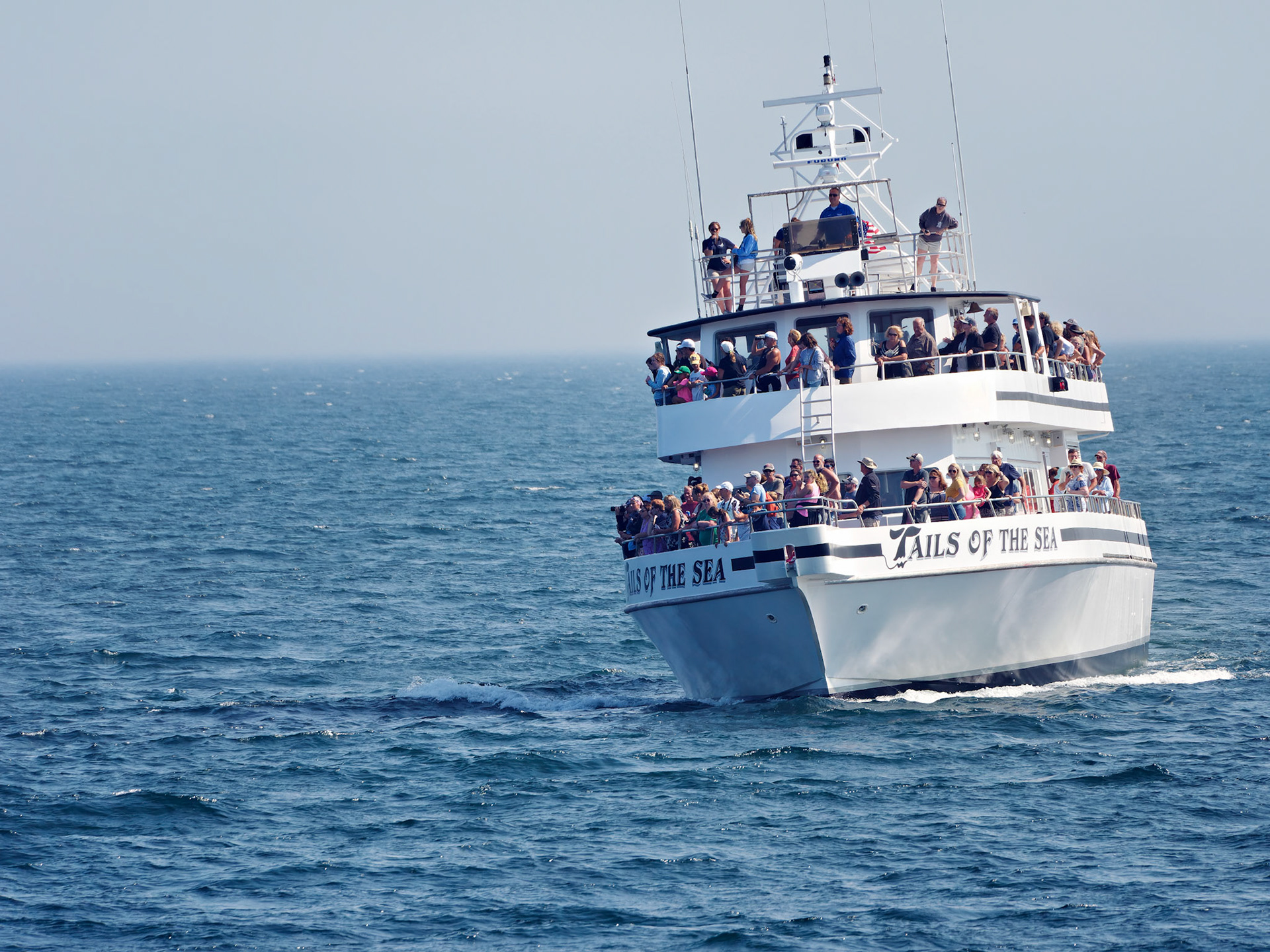 MA_CapeCodProvincetown_20180727_0134_PS