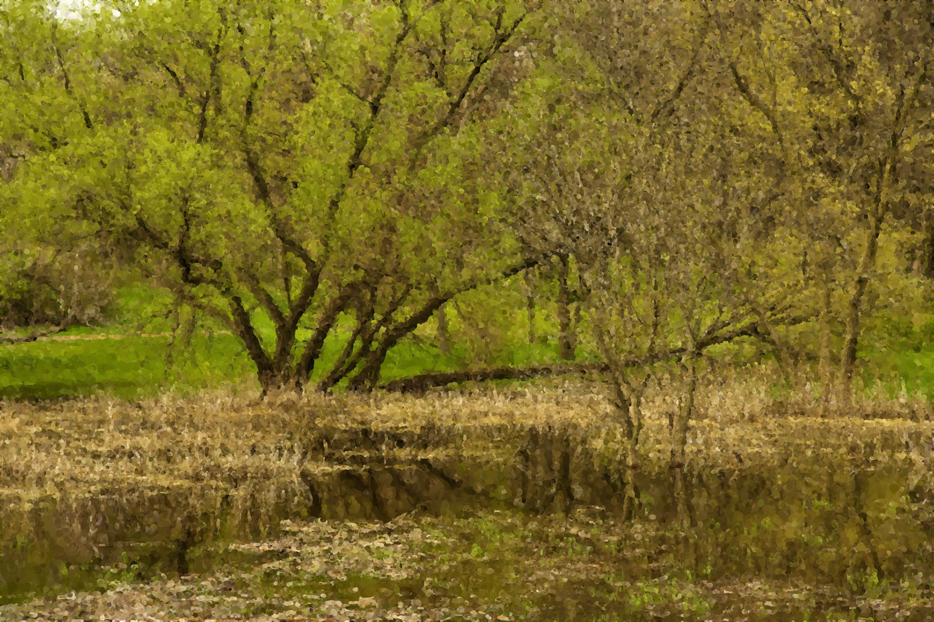 Painting__DSC2128_PaintingDWCSat