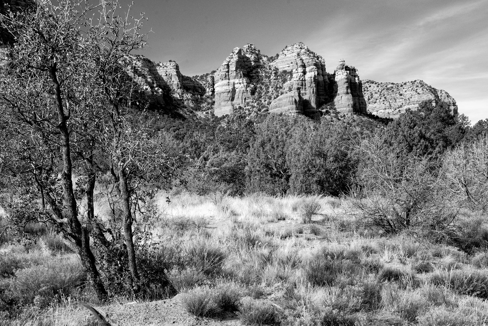 BW_Arizona2012-1539-BW