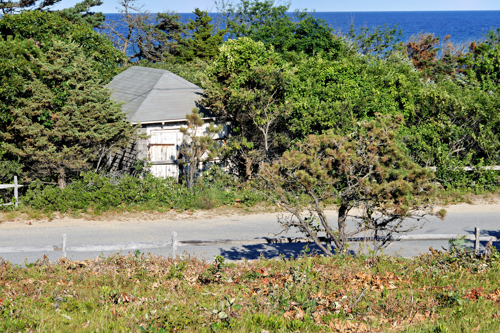MA_CapeCod_20150716_0024_PS