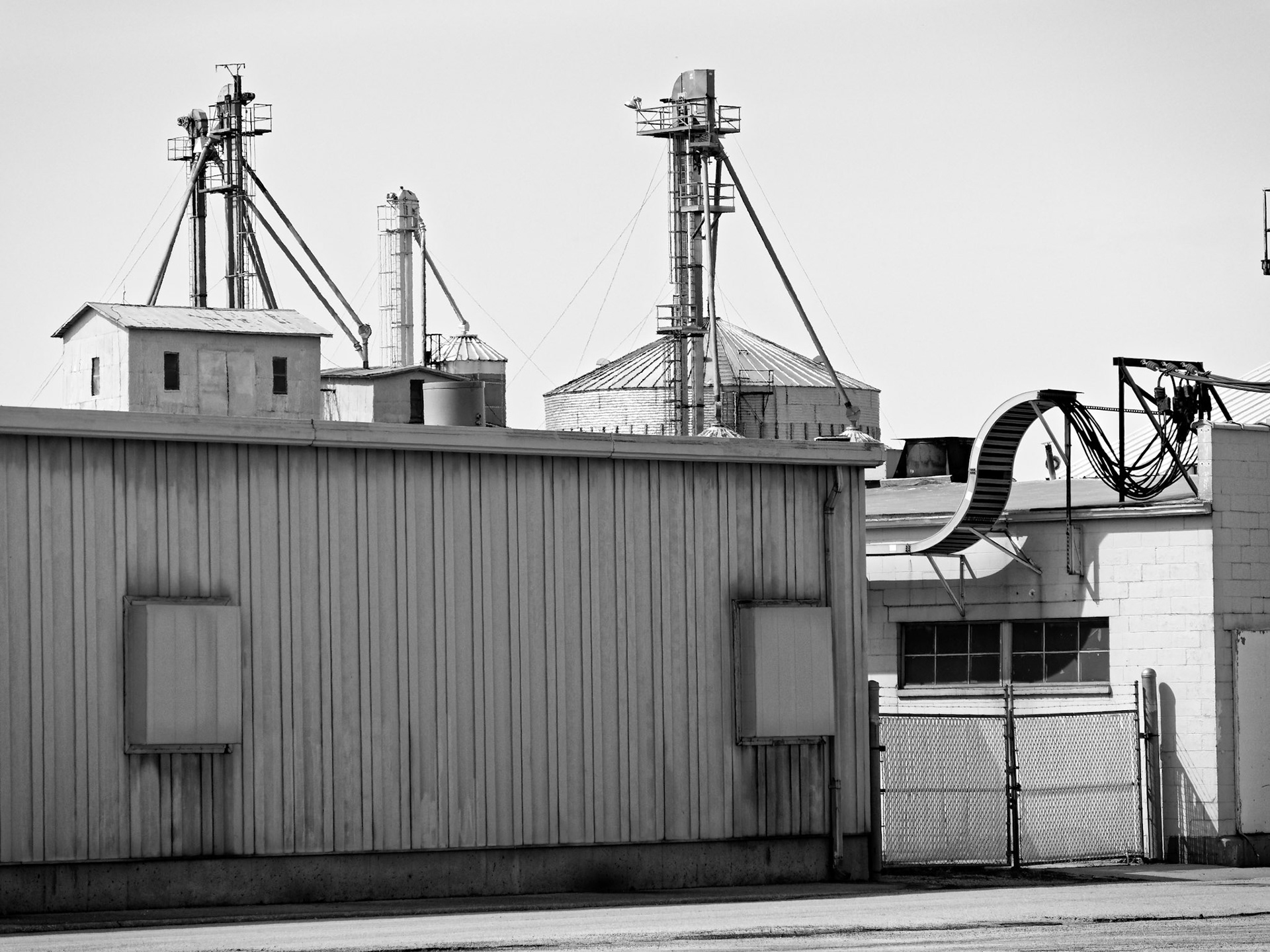 BW__1000109