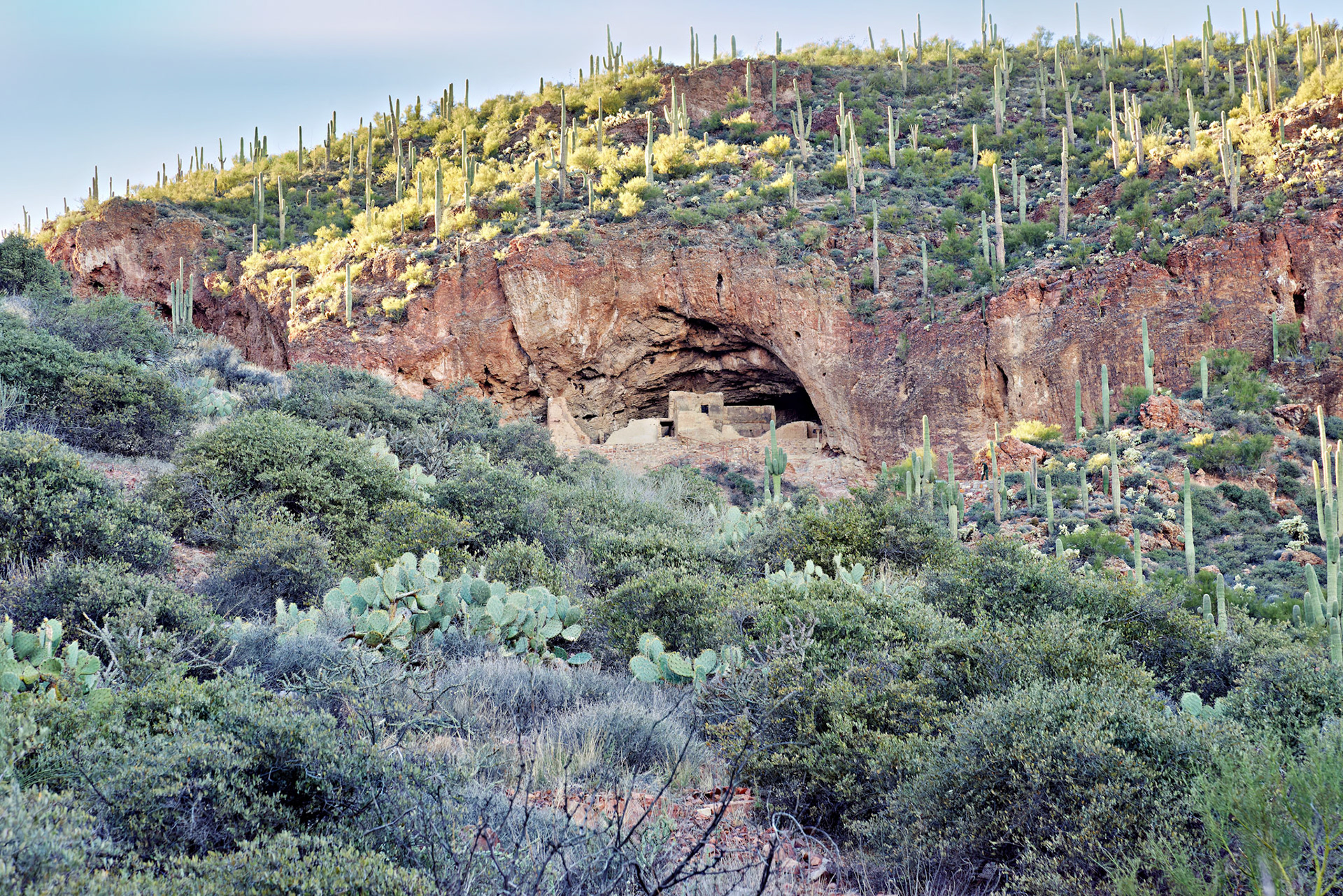 AZ_20121210_0458_PS.dng
