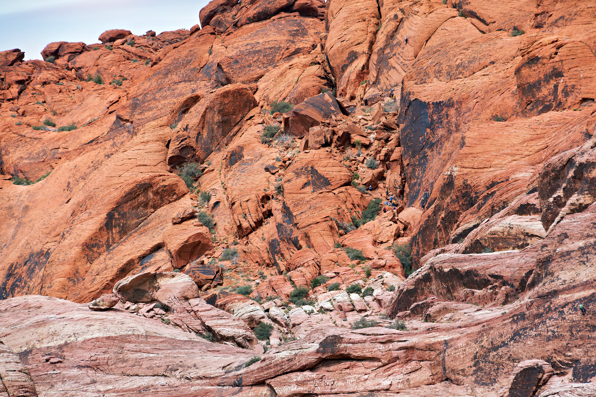 NV_Deserts_20120312_0040_PS.tif