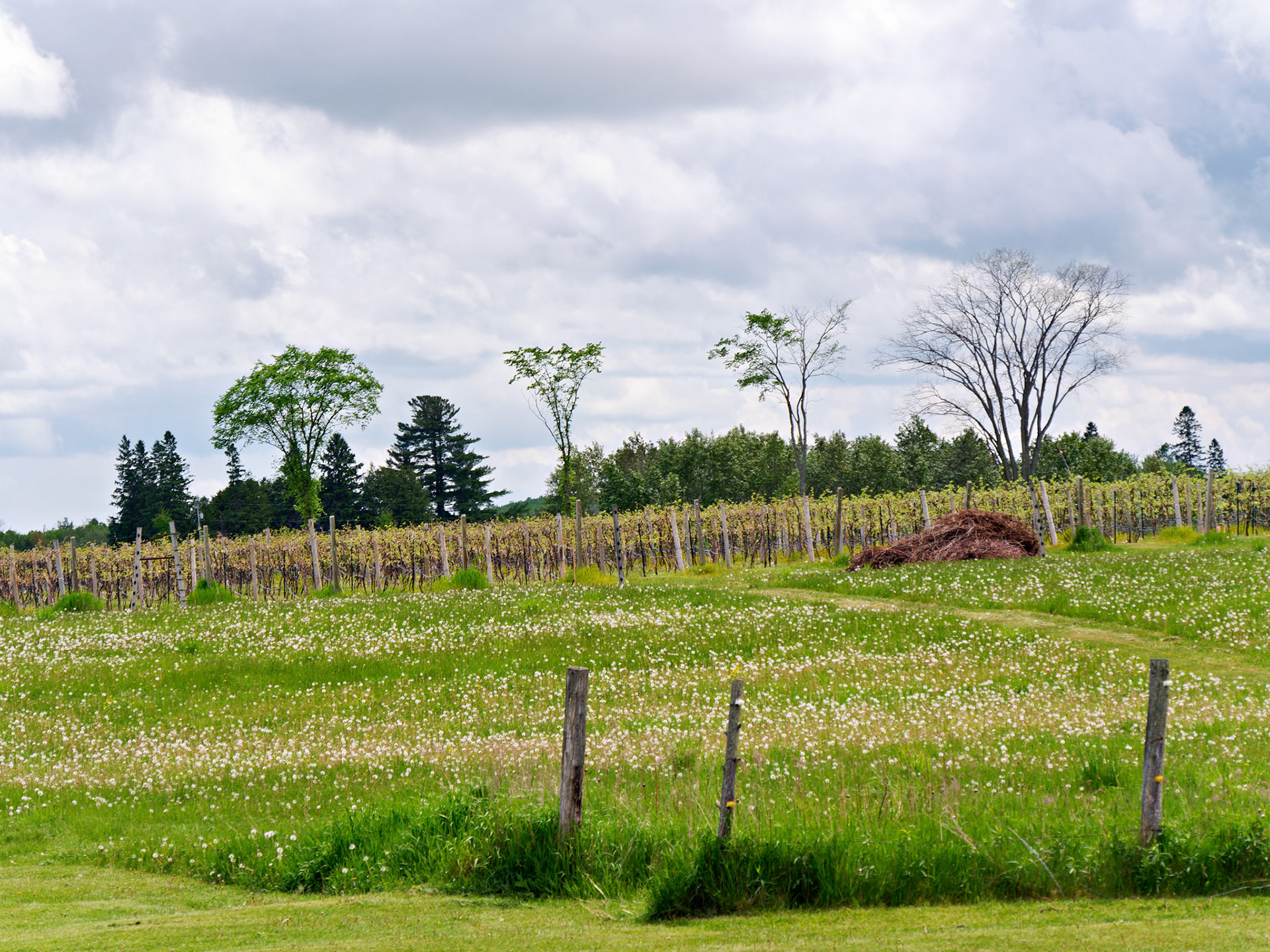 WI_North_20160529_0226_PS