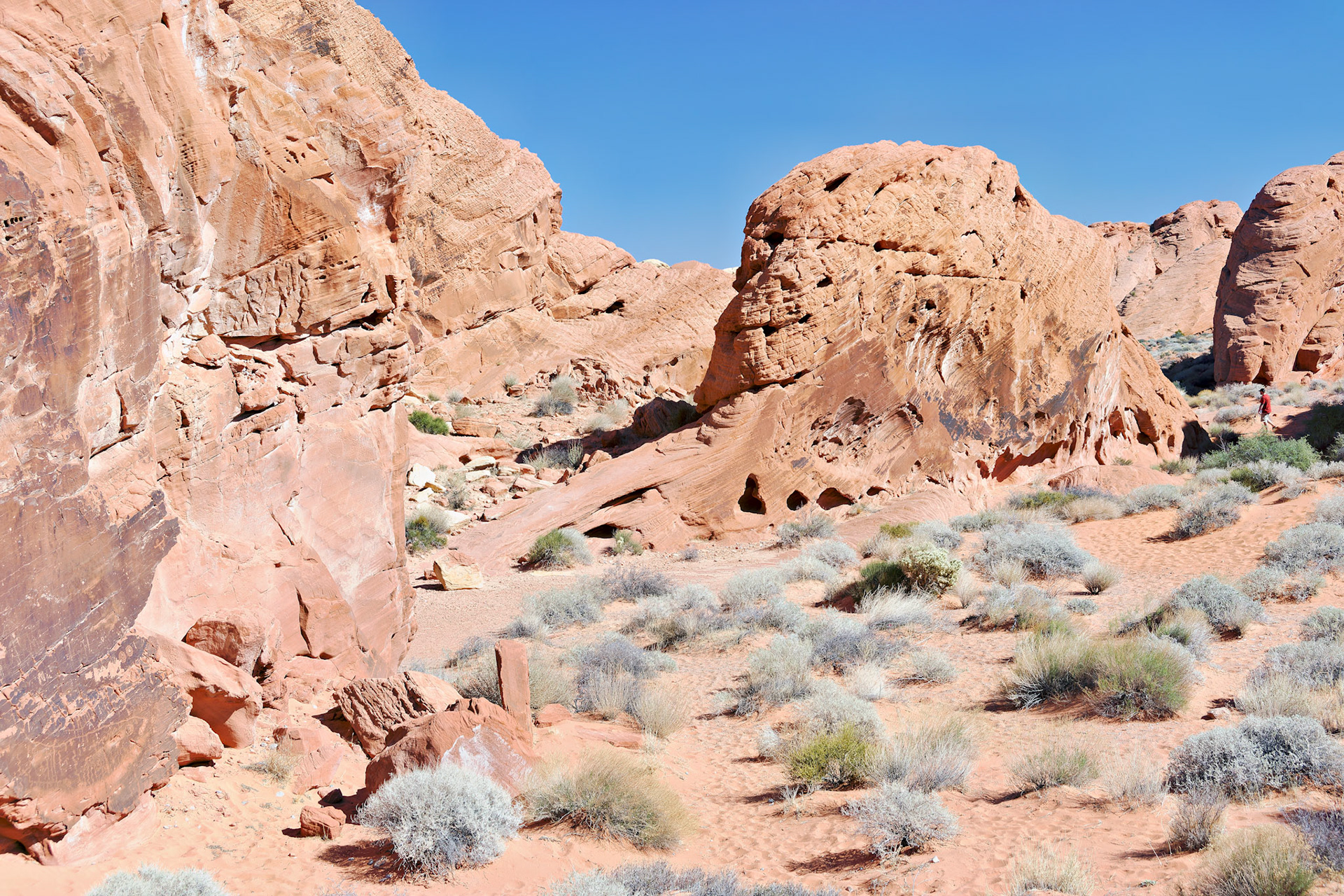 NV_Deserts_20120313_0133_PS.tif