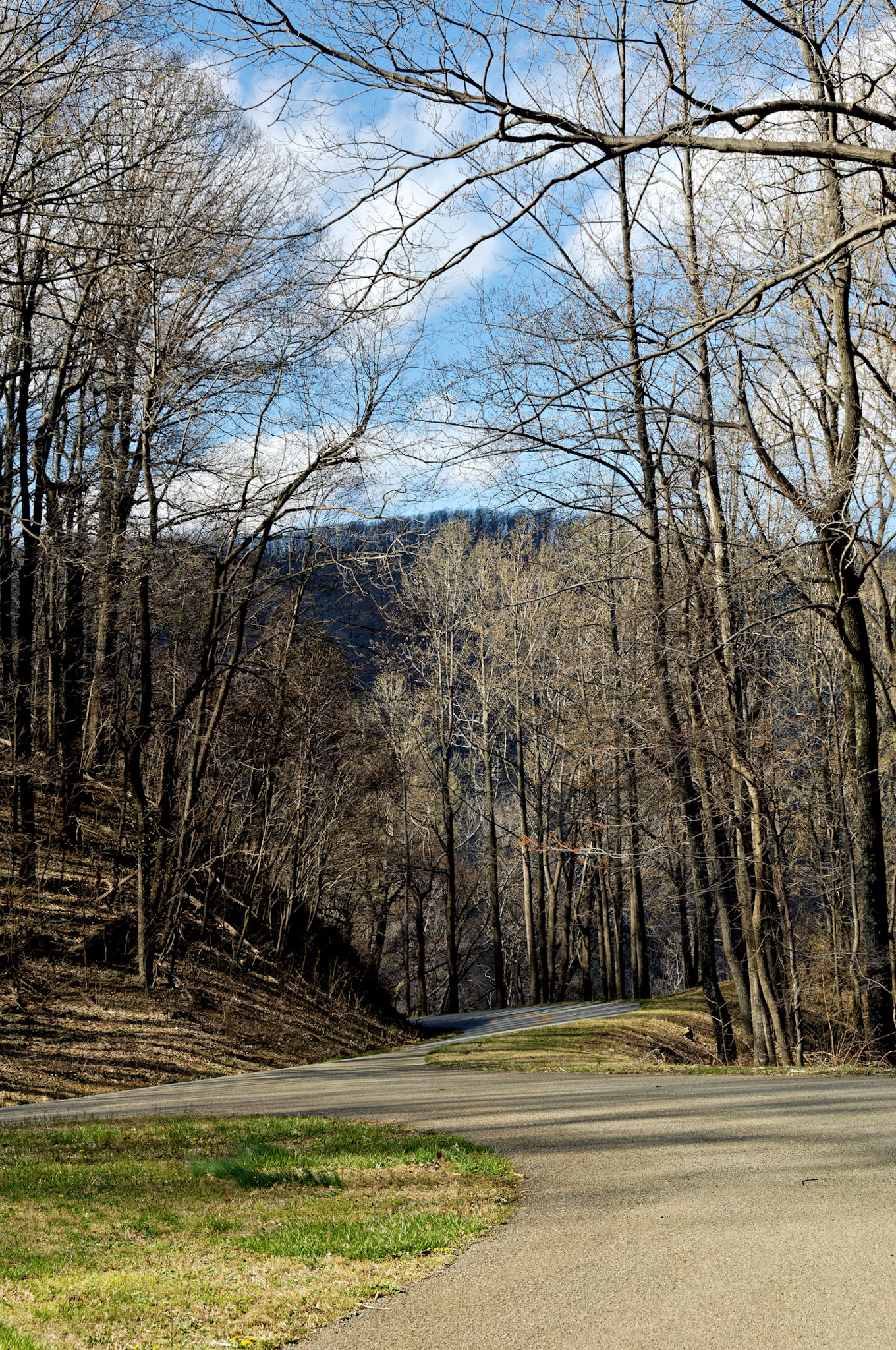 VA_BlueRidge_20060405_0118_PS