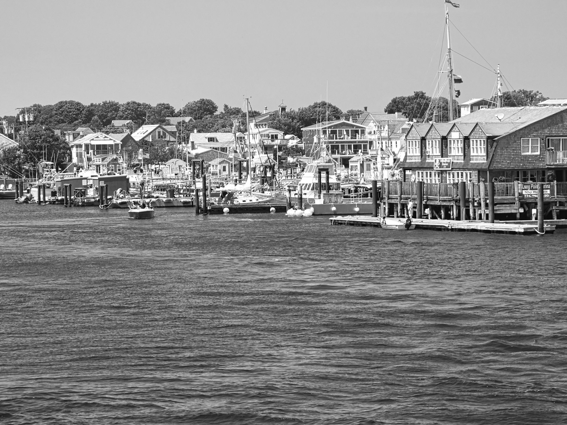 Black &amp; White 00304