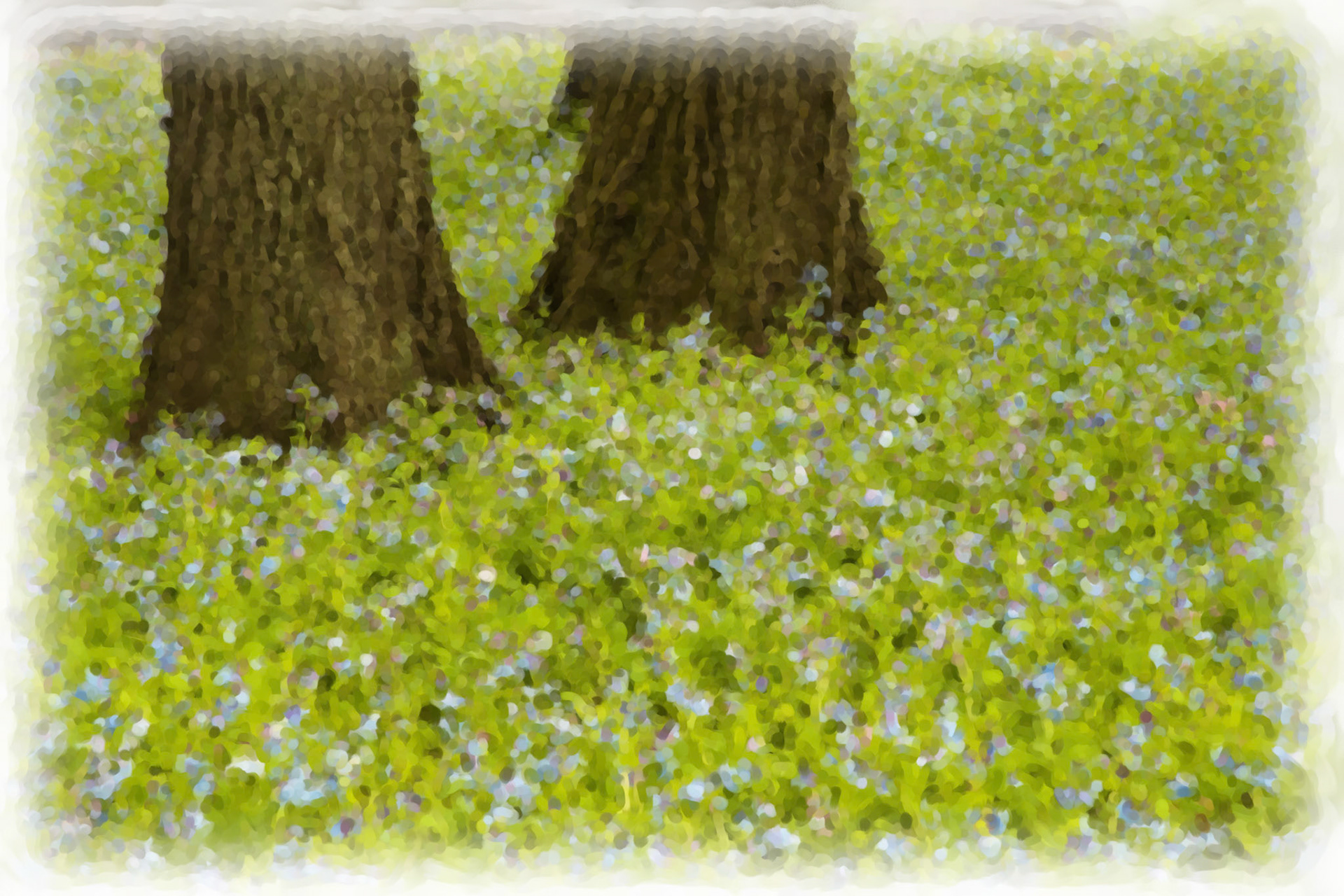 Painting_DSC2221OilSoft