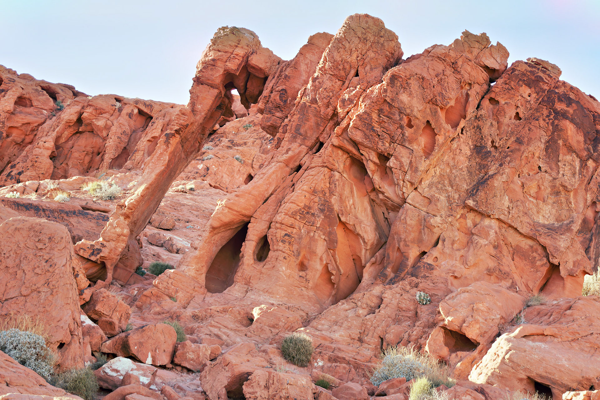 NV_Deserts_20120313_0251_PS