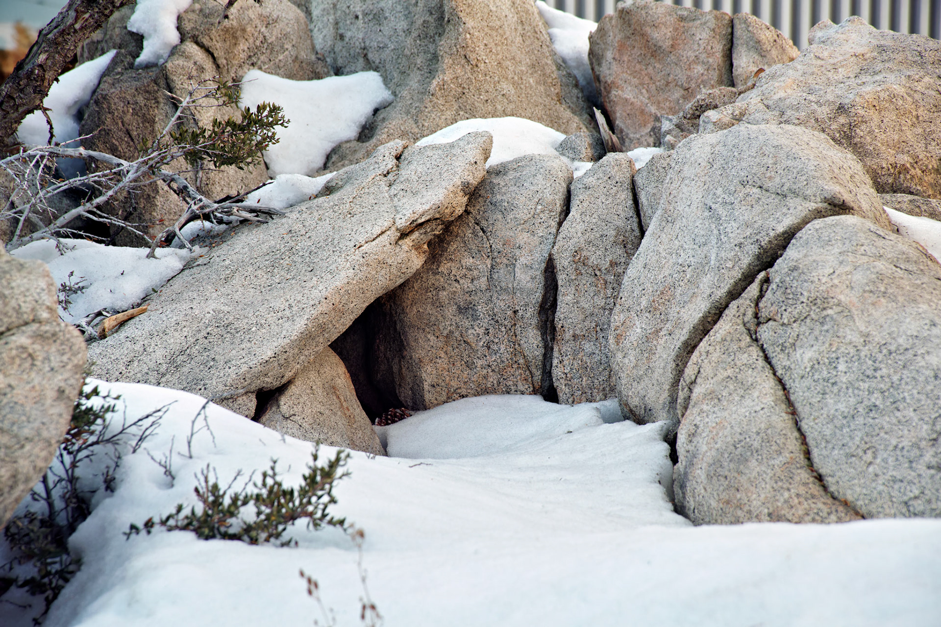 CA_PalmSprings_20111115_0345_PS