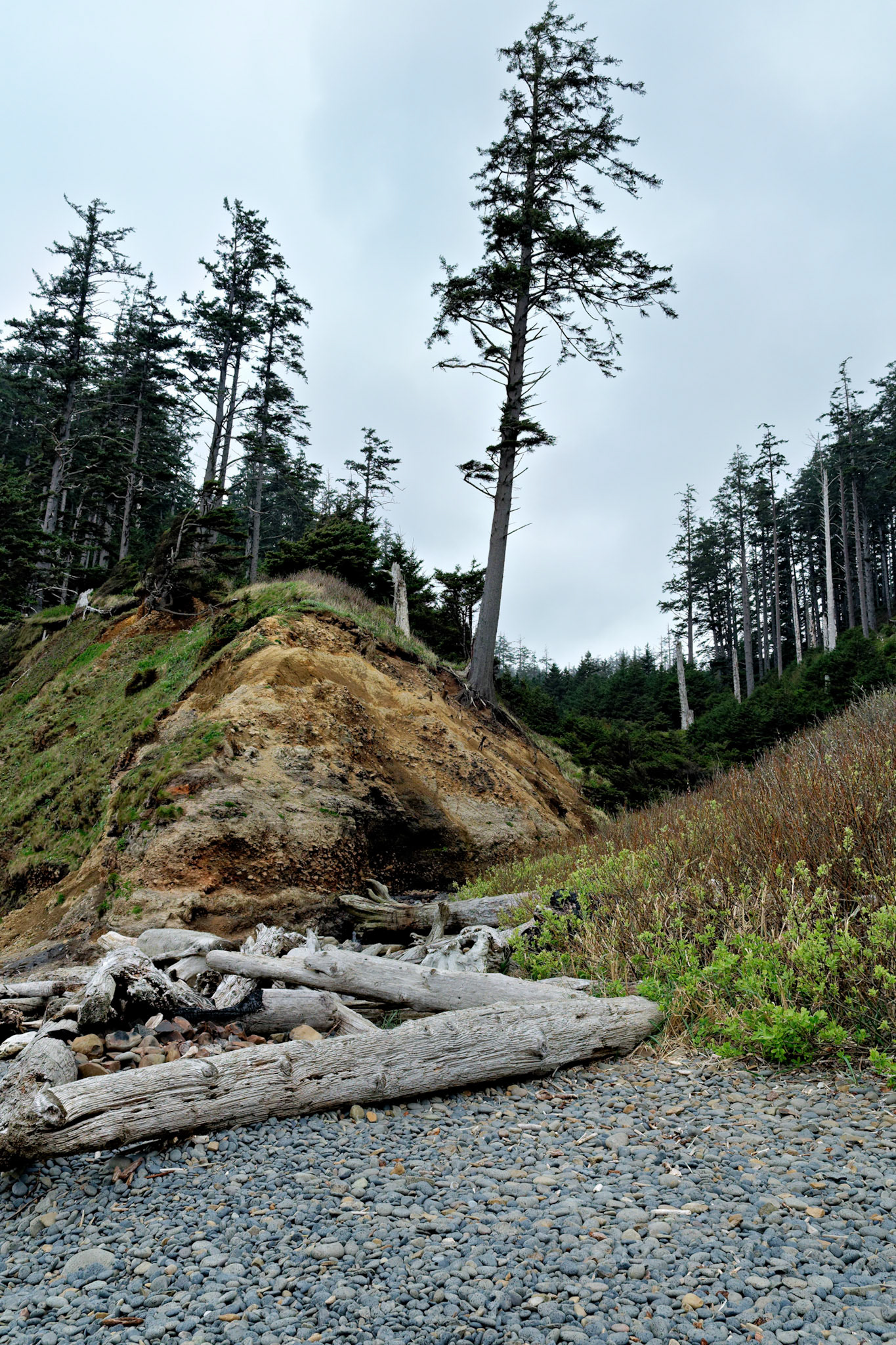OR_Coast_20130418_0082_PS