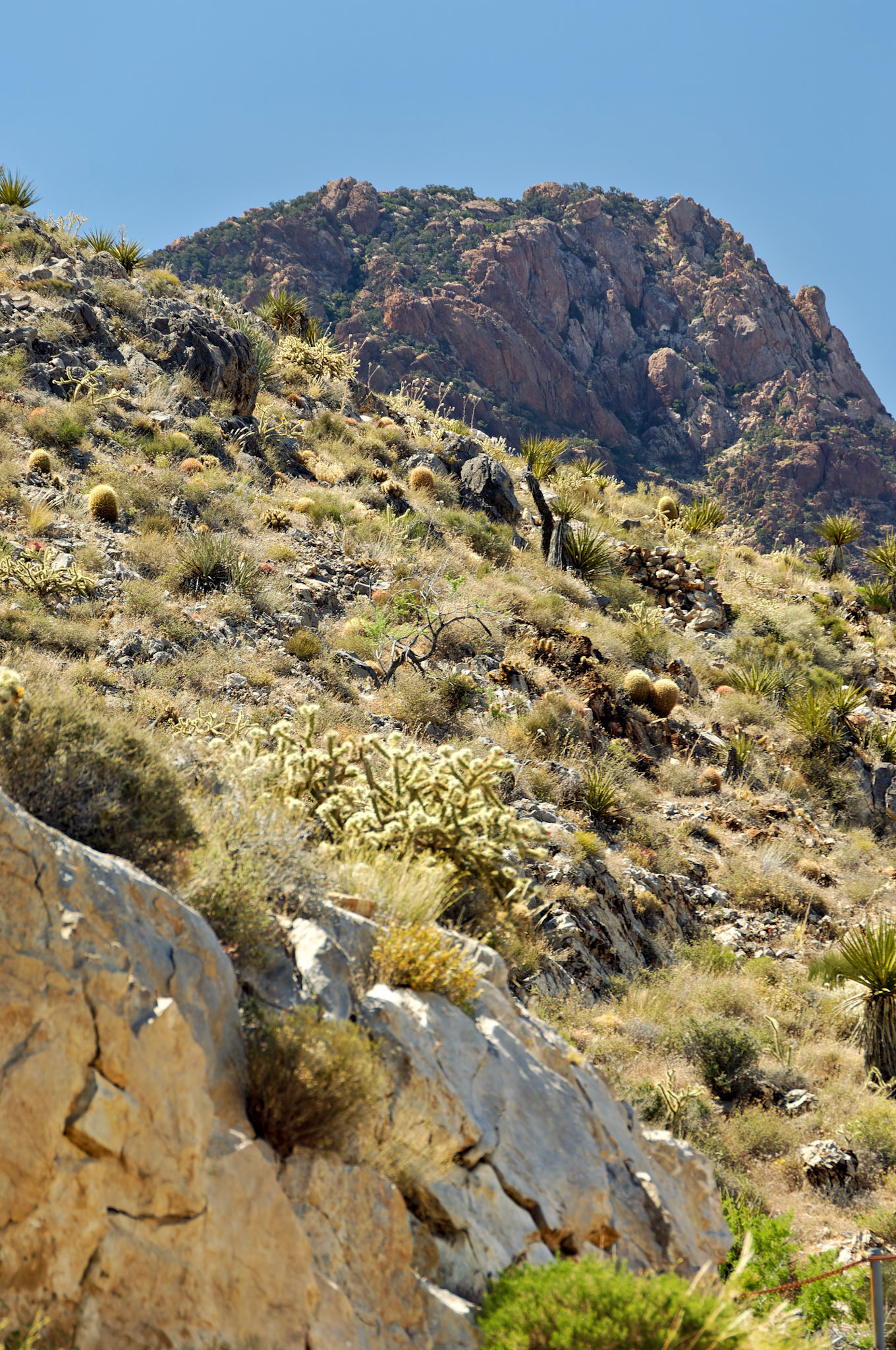 CA_20050614_0148_PS