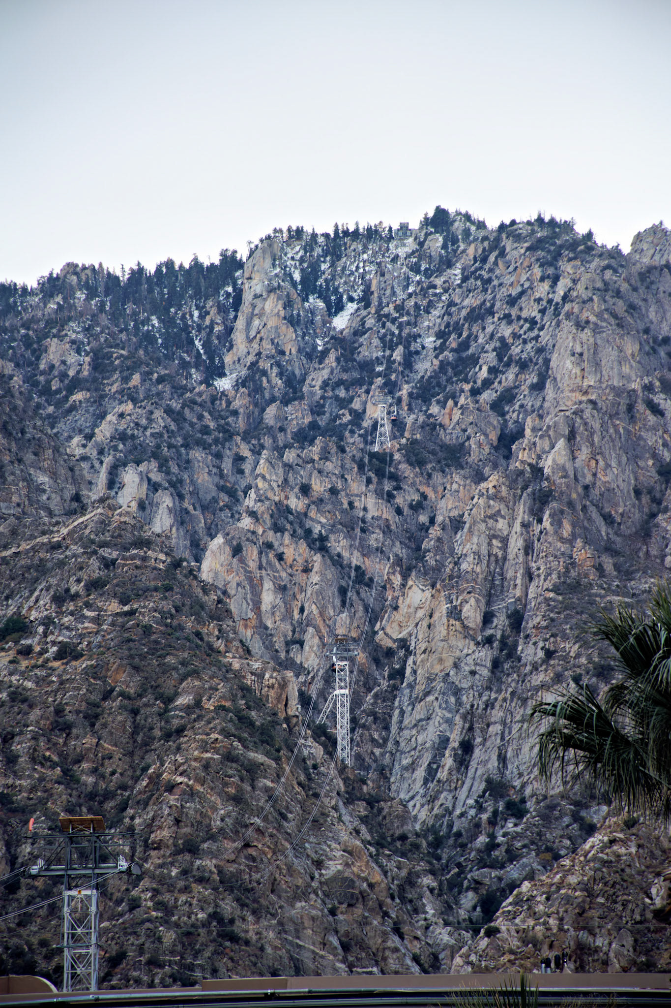 CA_PalmSprings_20111115_0409_PS