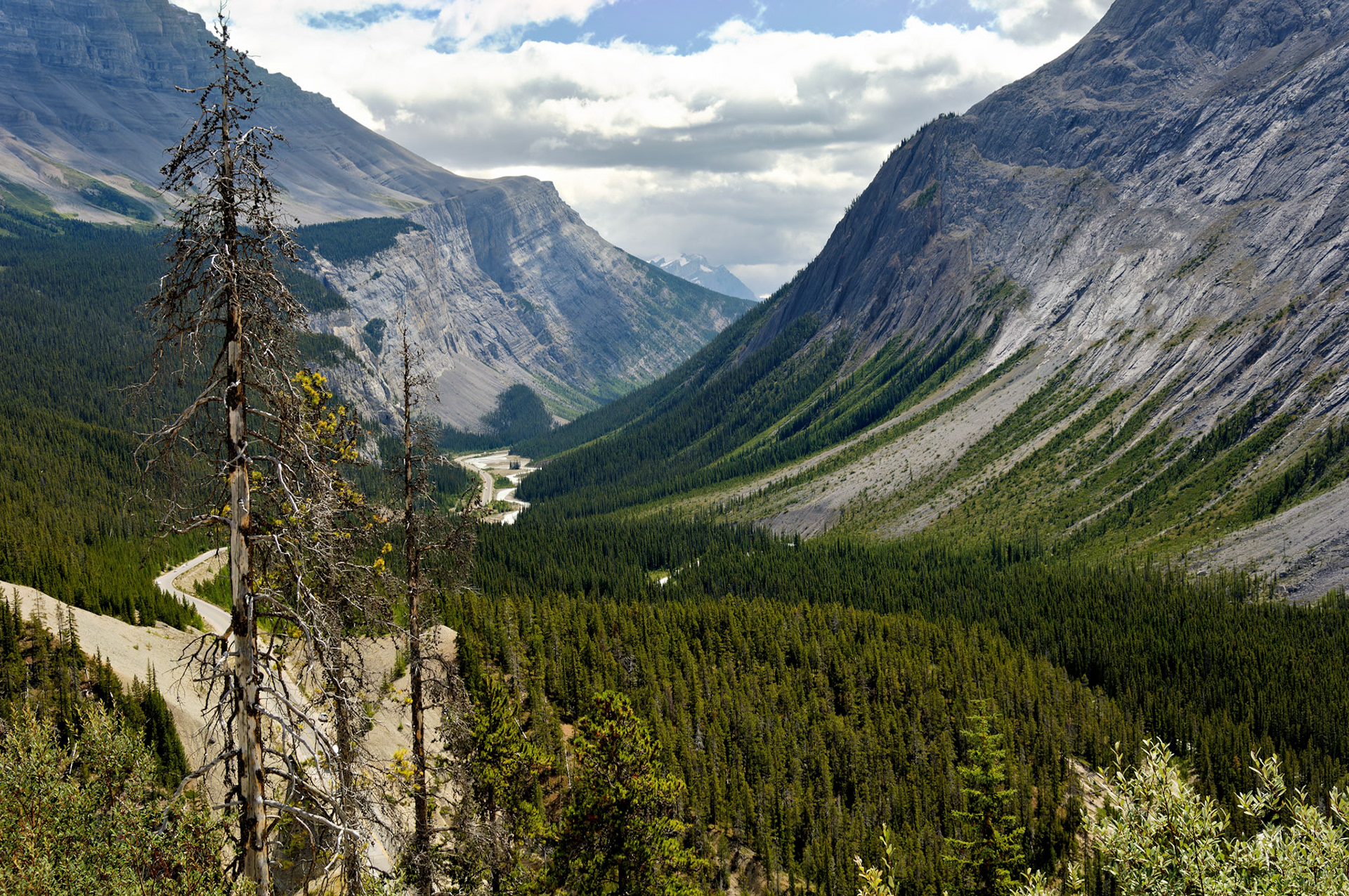CN_20060802_0193_PS