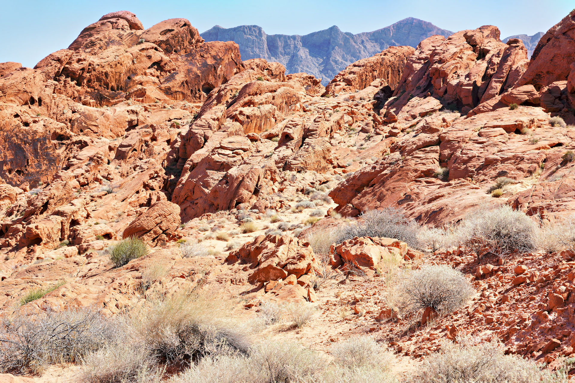 NV_Deserts_20120313_0127_PS.tif