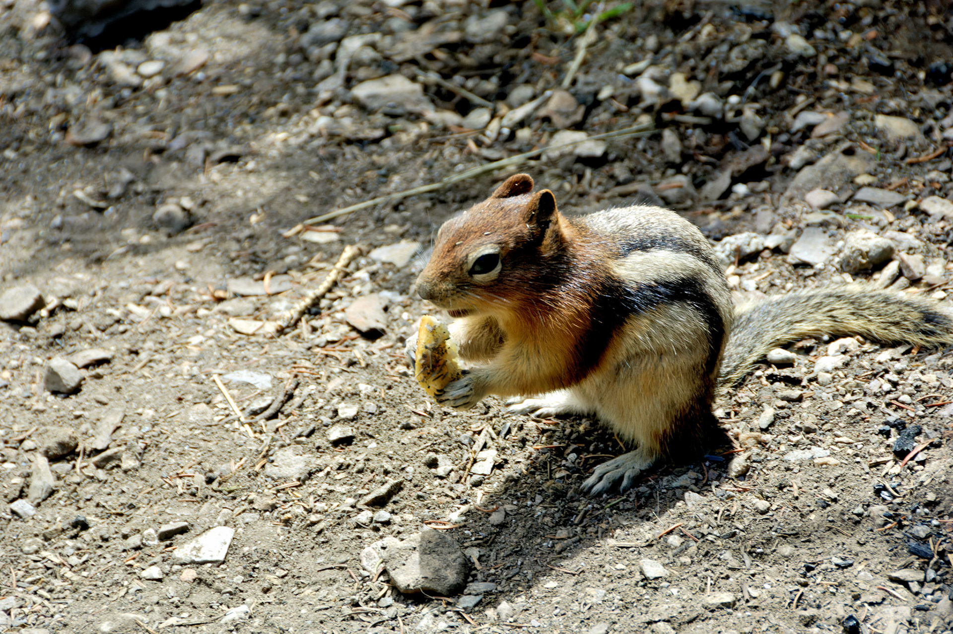 CN_20060801_0060_PS