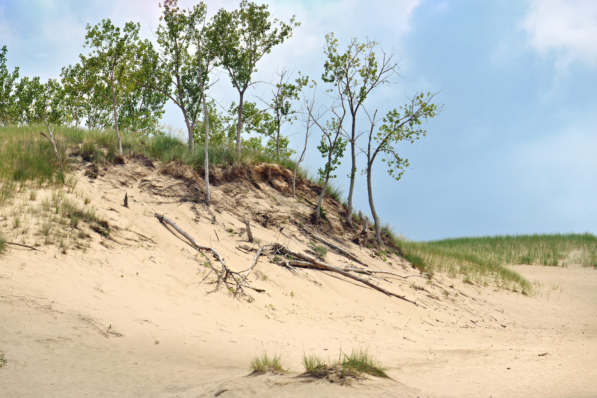MI_New BuffaloArea_20150808_0112_PS