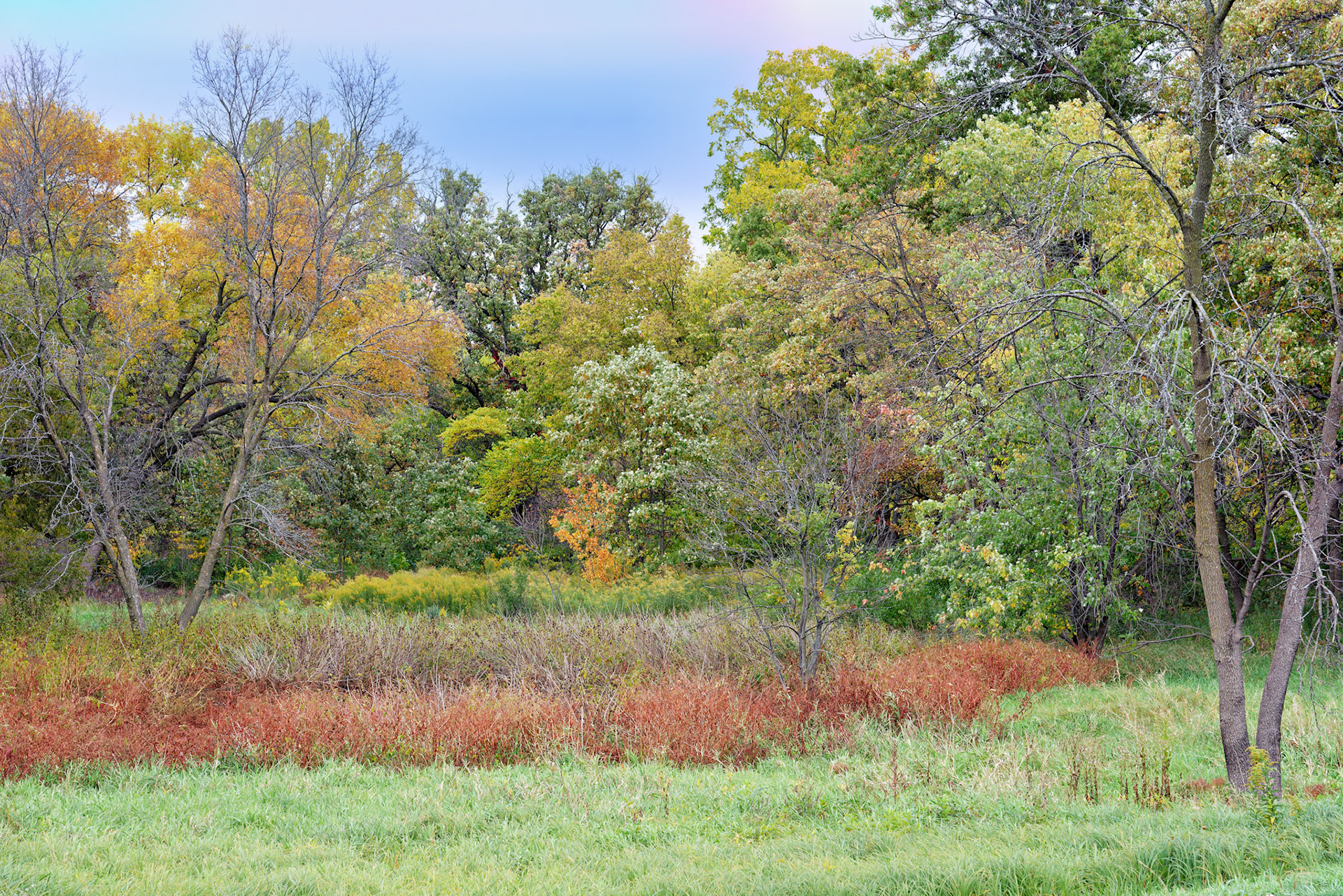 IL_Morton Arboretum_20121005_0524_PS