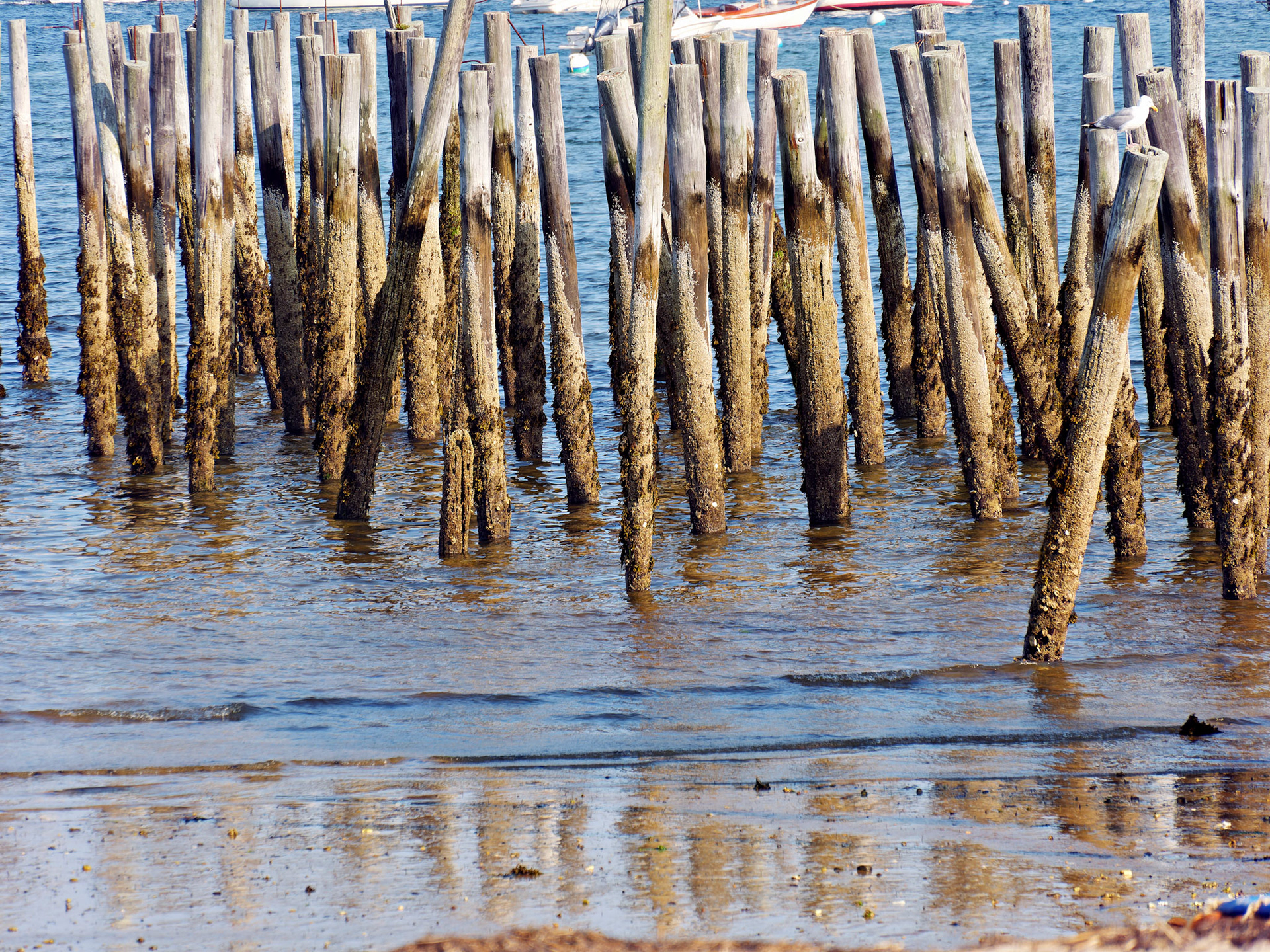 MA_CapeCodProvincetown_20180727_0207_PS