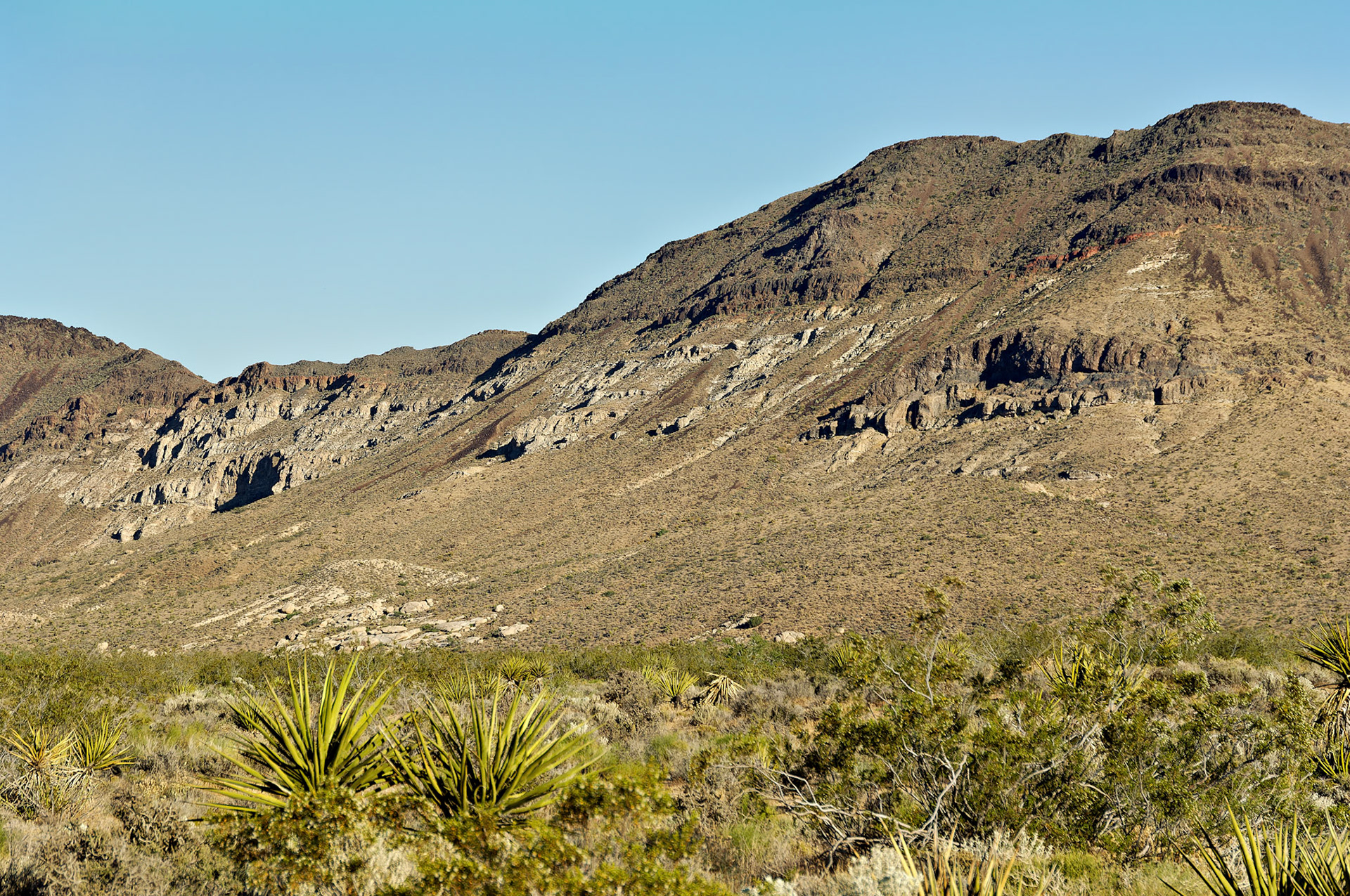CA_20050614_0198_PS