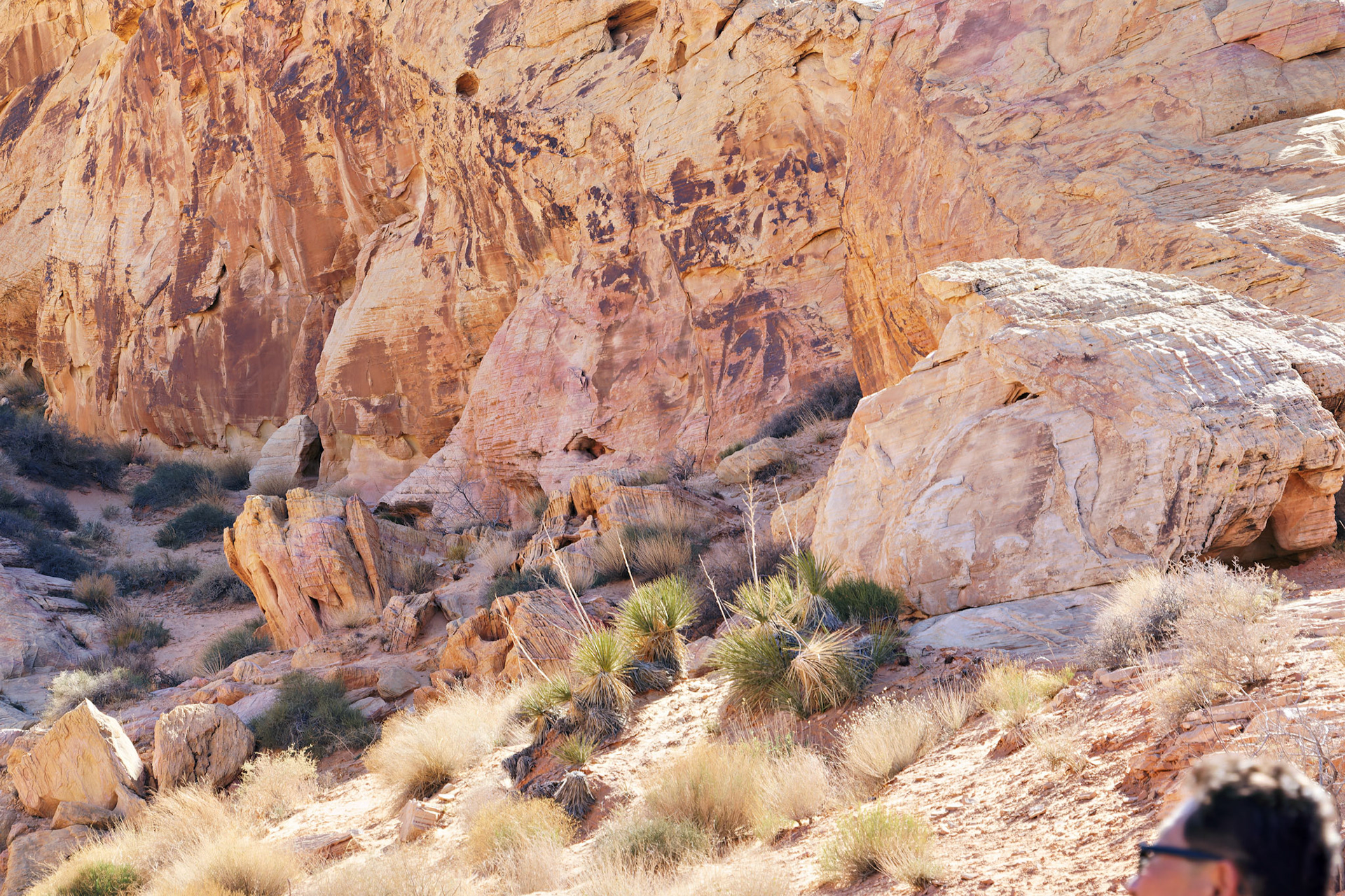 NV_Deserts_20120313_0159_PS.tif