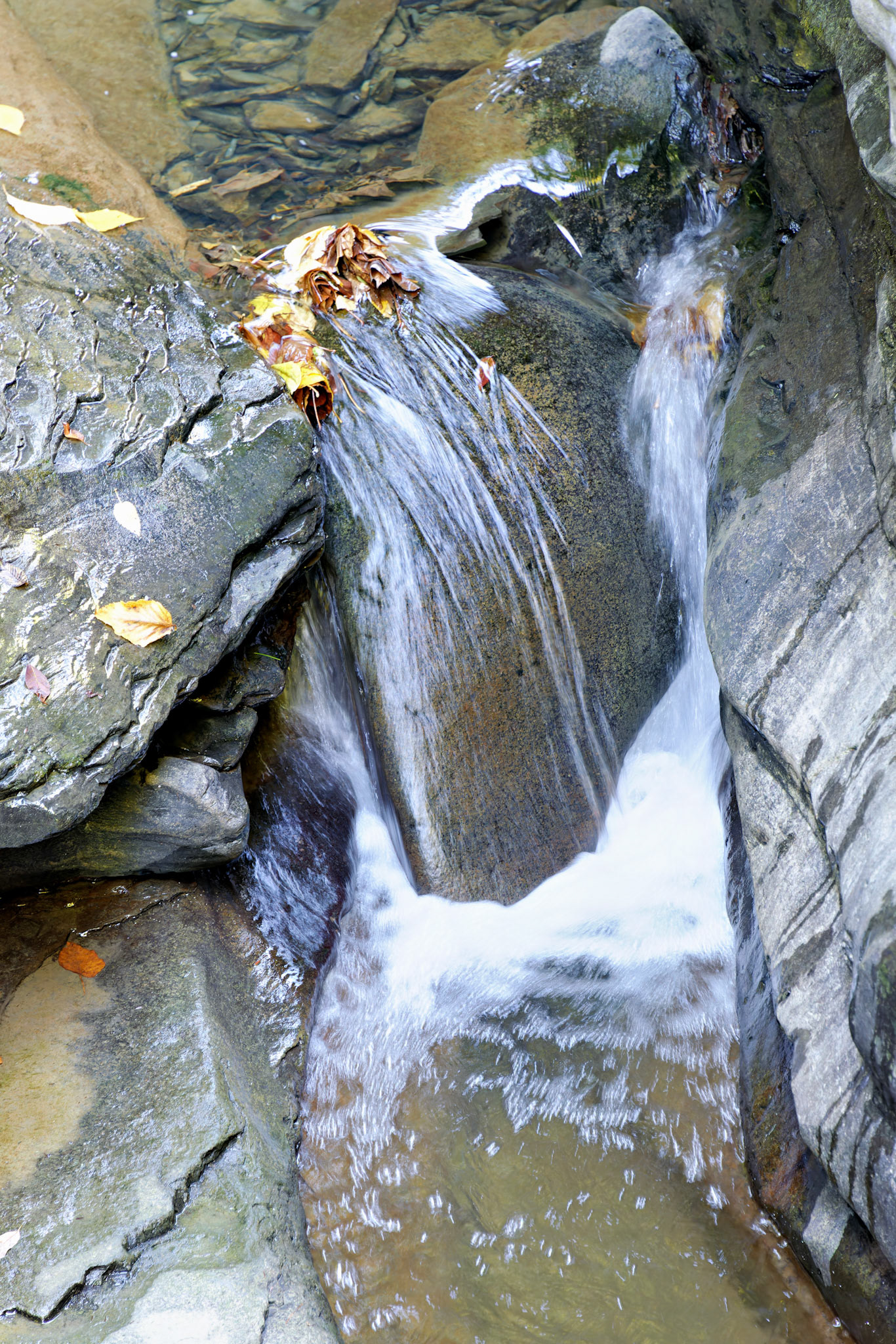 NY_FingerLakes_20120927_0120_PS